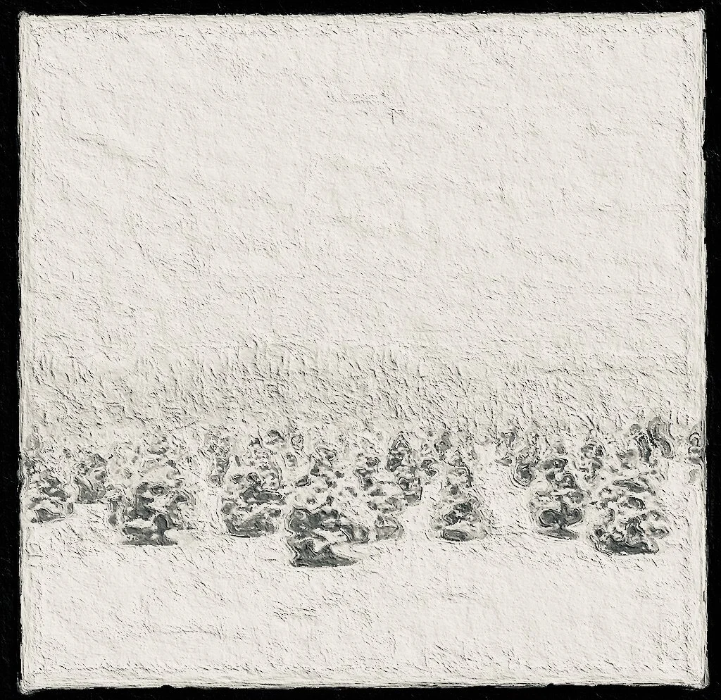 white out, 2015