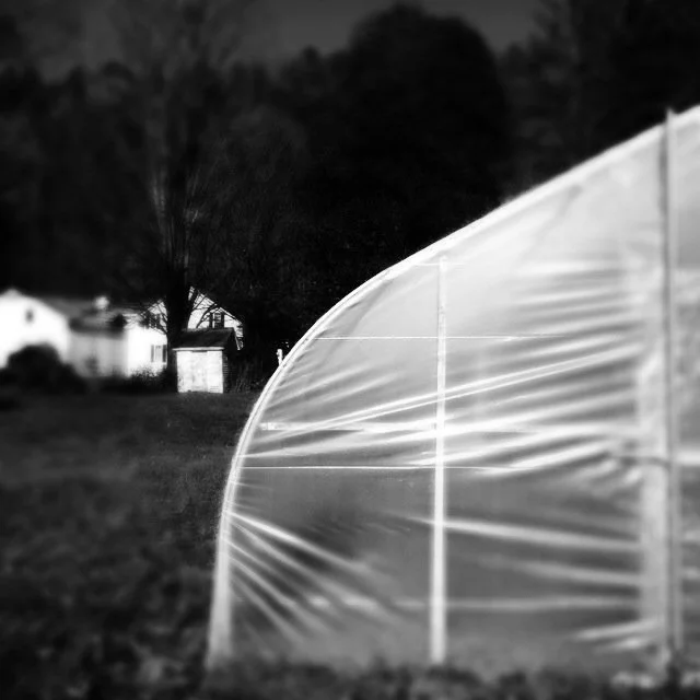 greenhouse and inn 2012