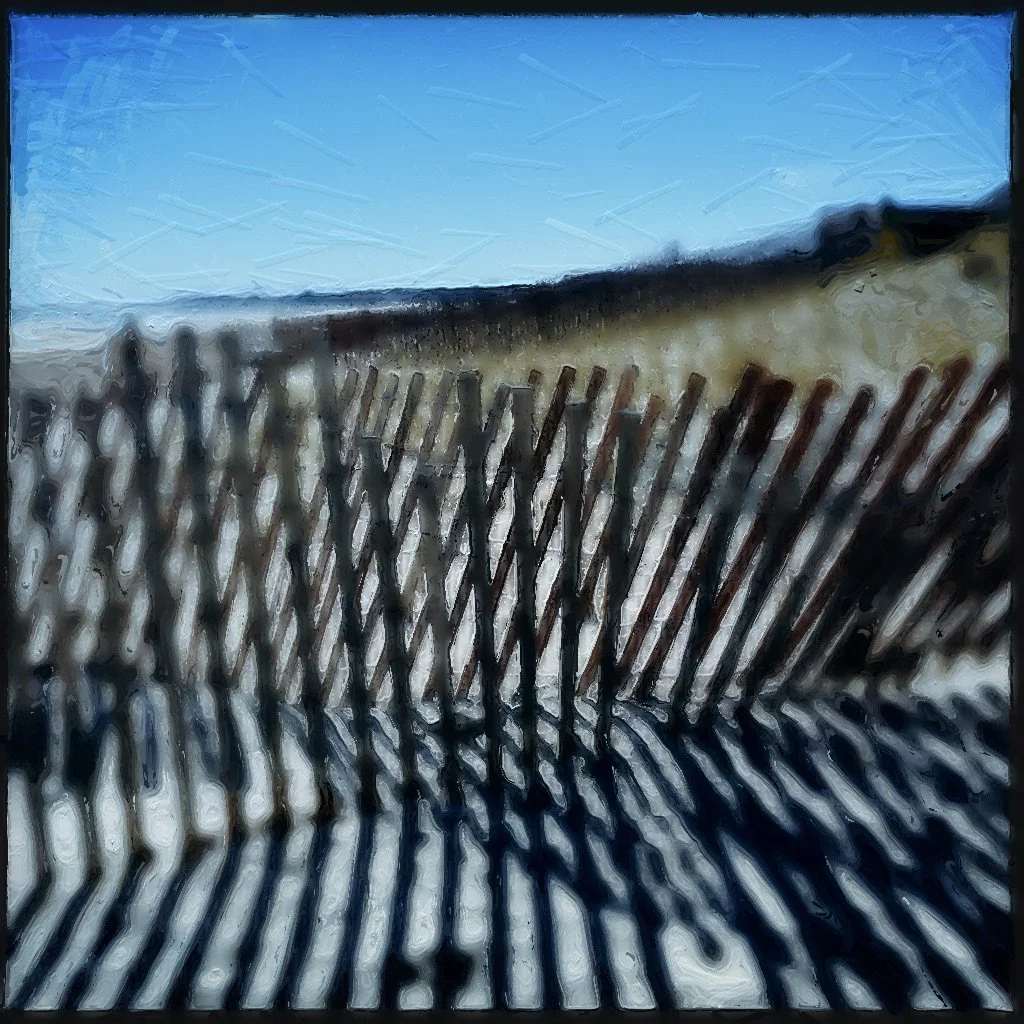 beach day, april 2025