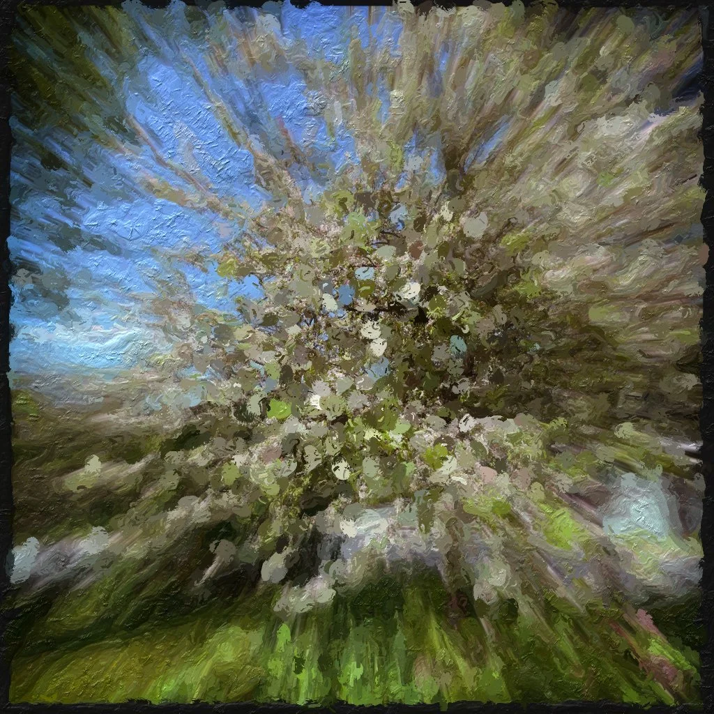 the song 0f may, 2025