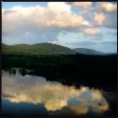 shadows on MonKton pond, 2012