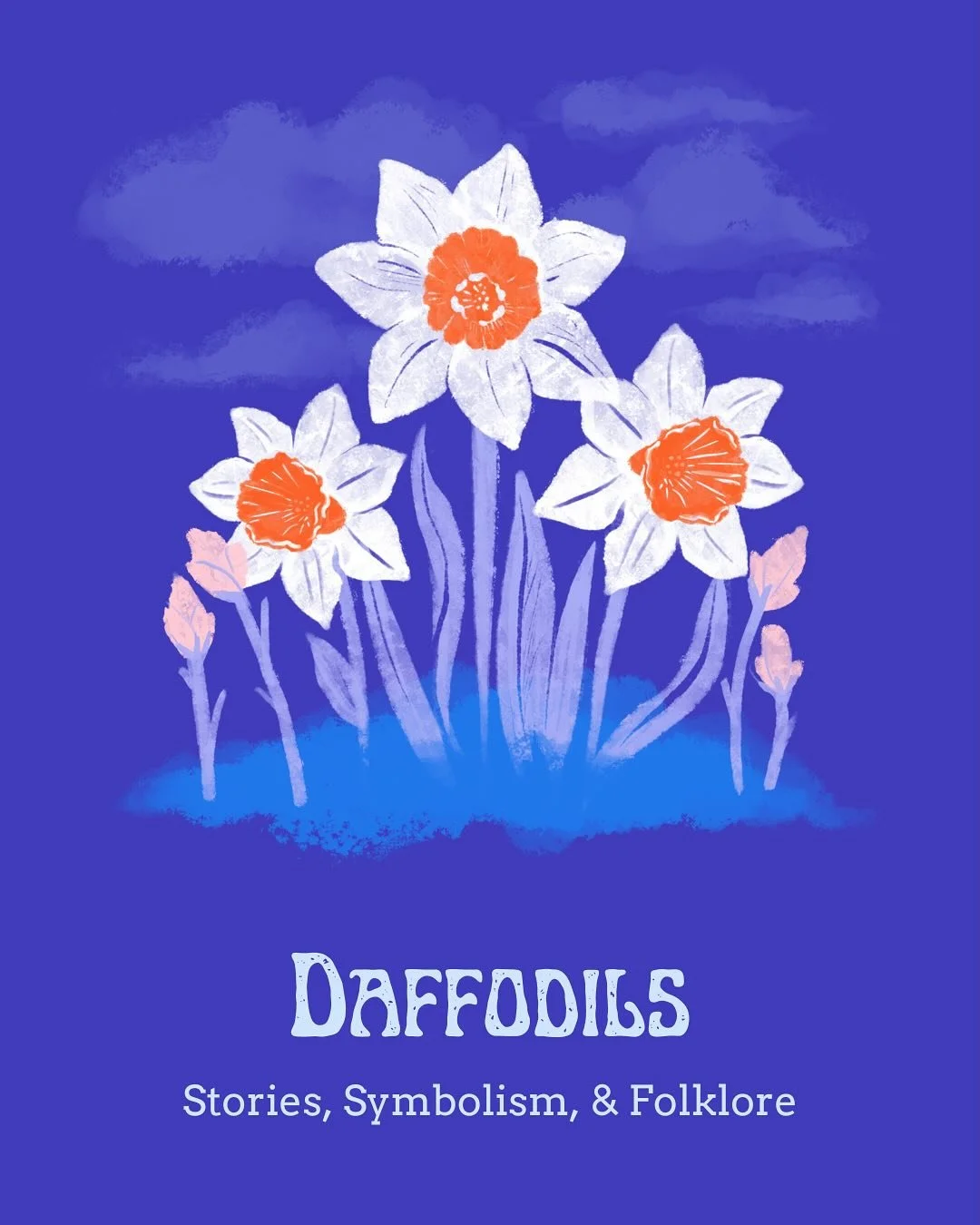 It&rsquo;s so funny how I thought daffodils (and tulips) were so lame as a kid and now I&rsquo;m just enamored with them all?! This lil guy is so pretty and holds so many stories 🌱🌼
.
.
.
#daffodil #narcissus #persephone #springtime #folklore #magi