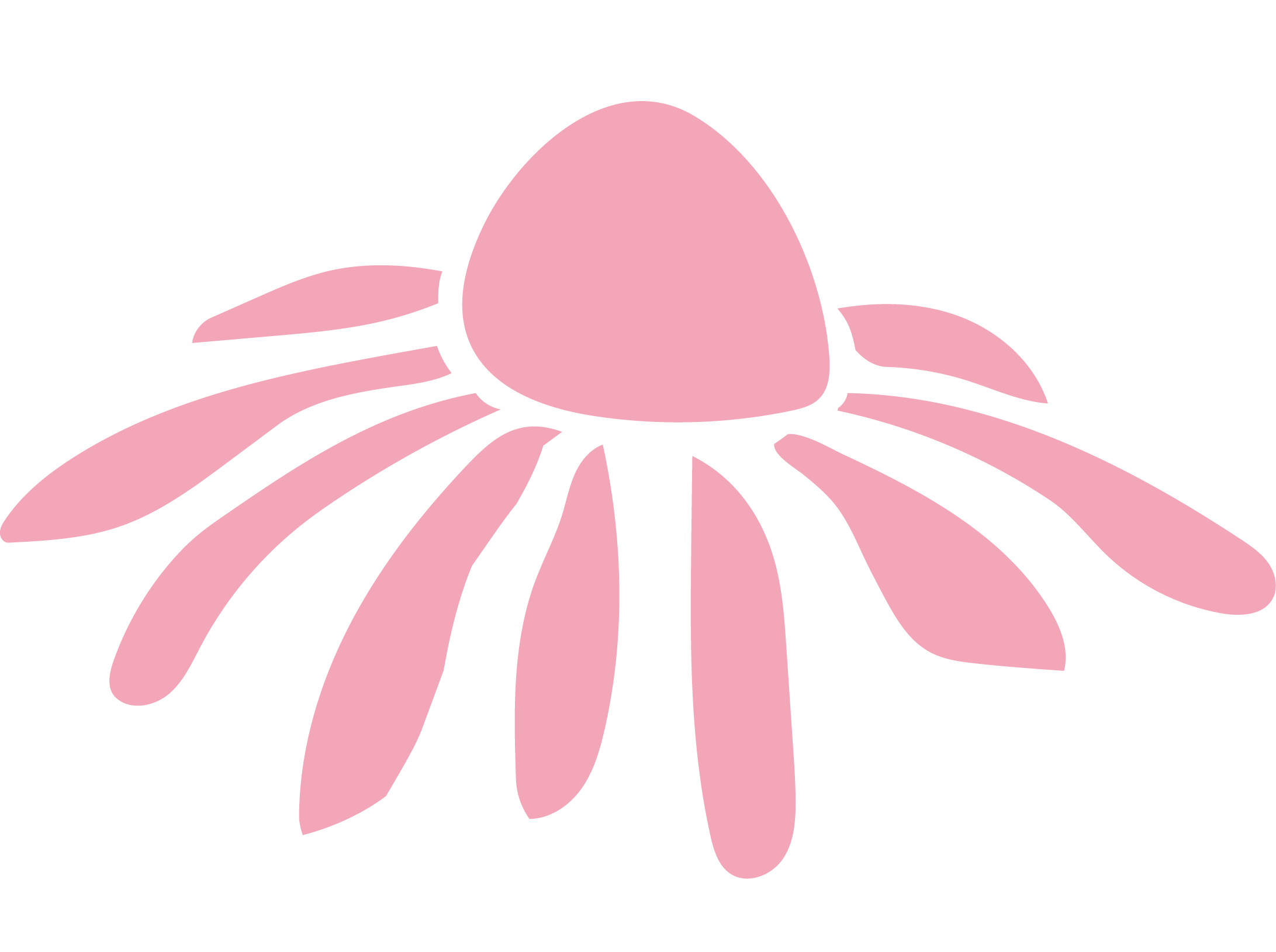 A stylized blue flower symbol with a central oval and radiating elongated shapes, on a rounded square blue background.