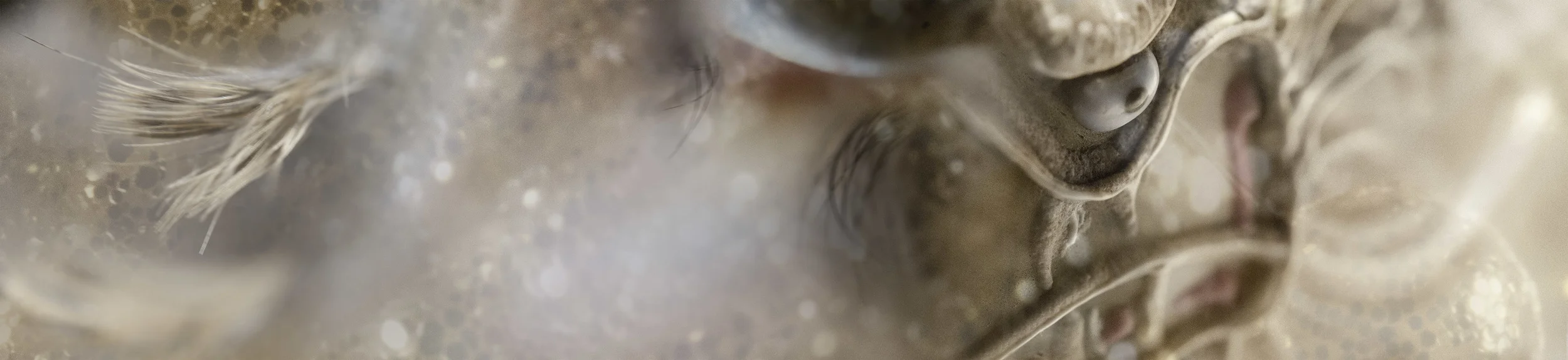 gaze.jpg