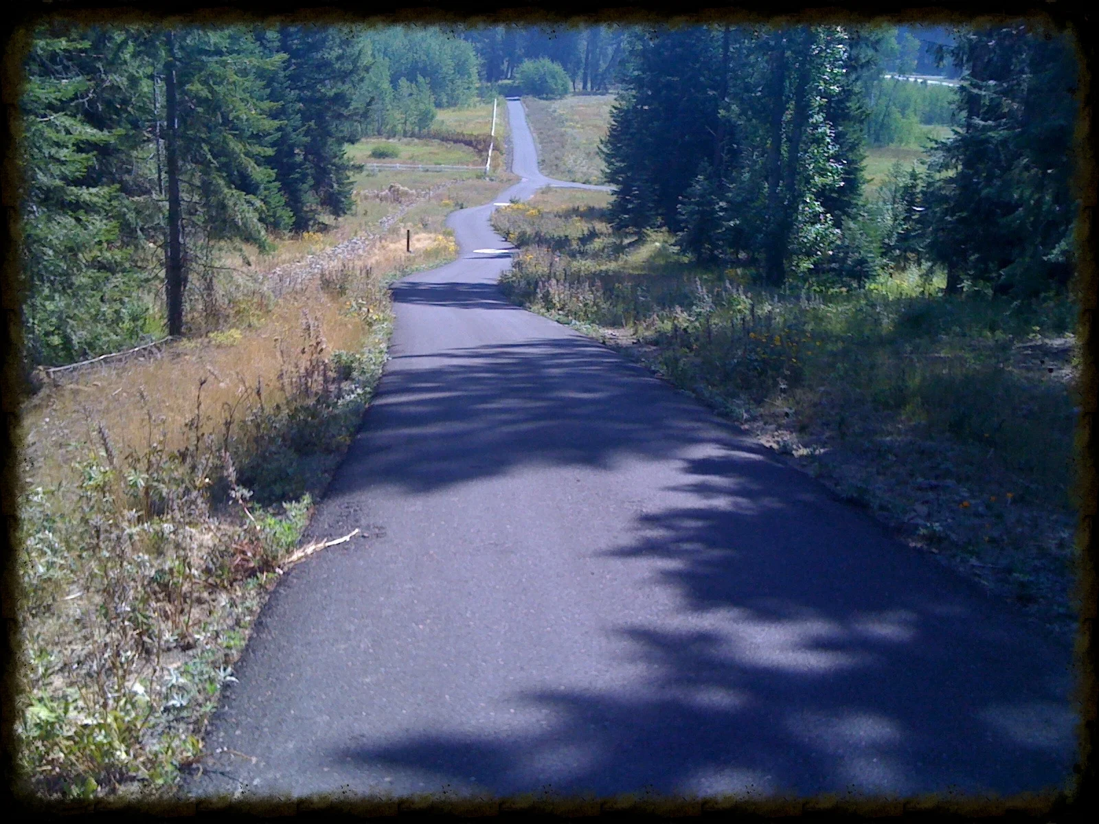 Long walks.