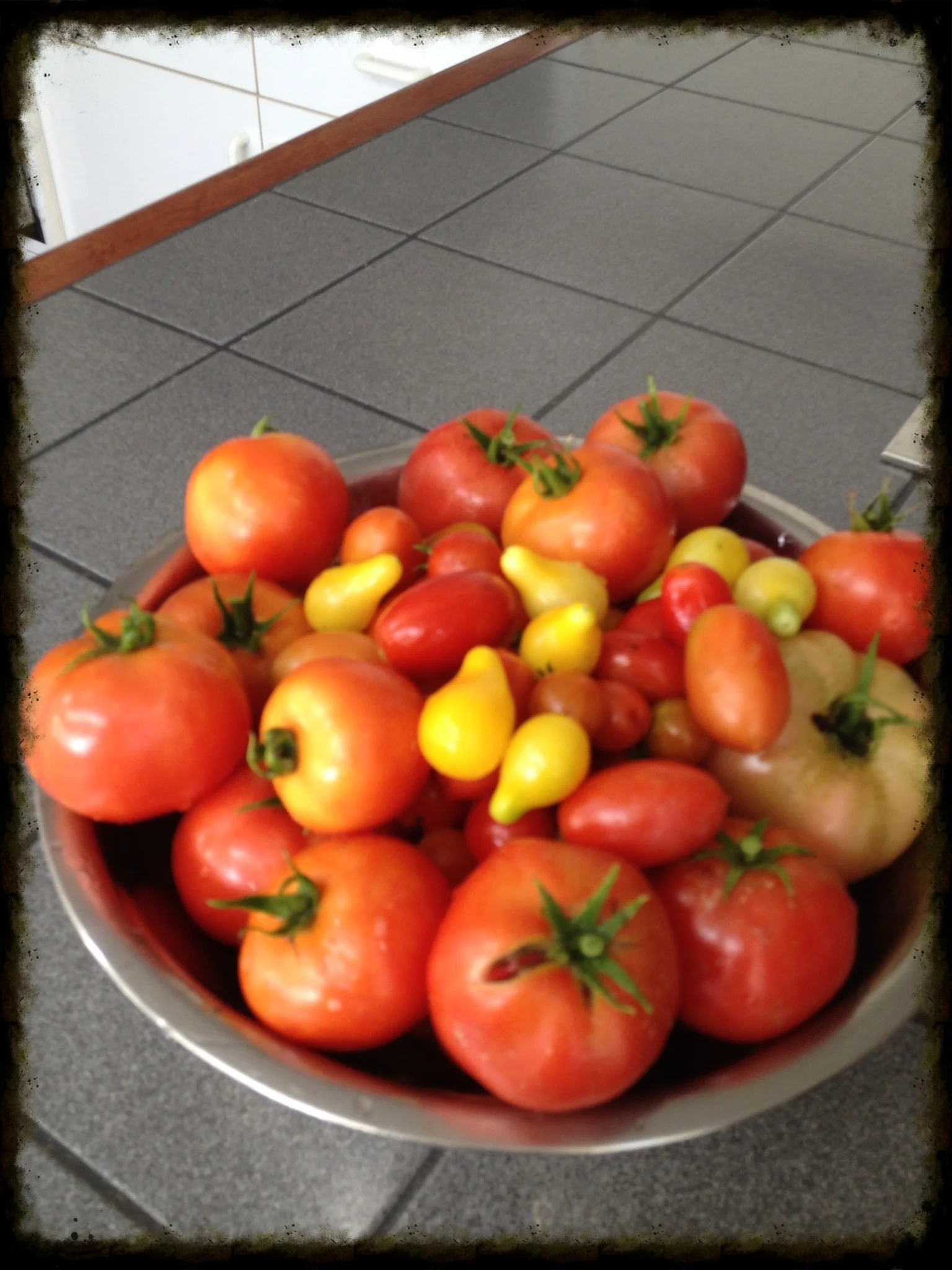 Tomatoes from my garden.