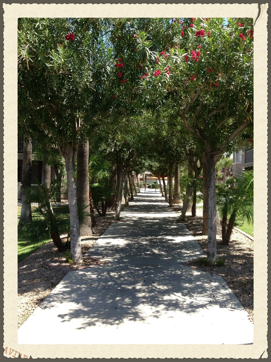 The landscaping is pleasant and inviting.