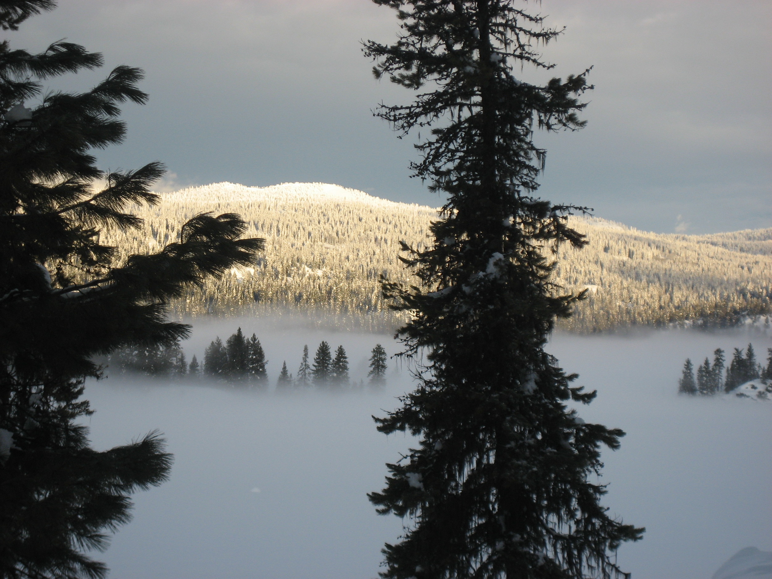 winter nature