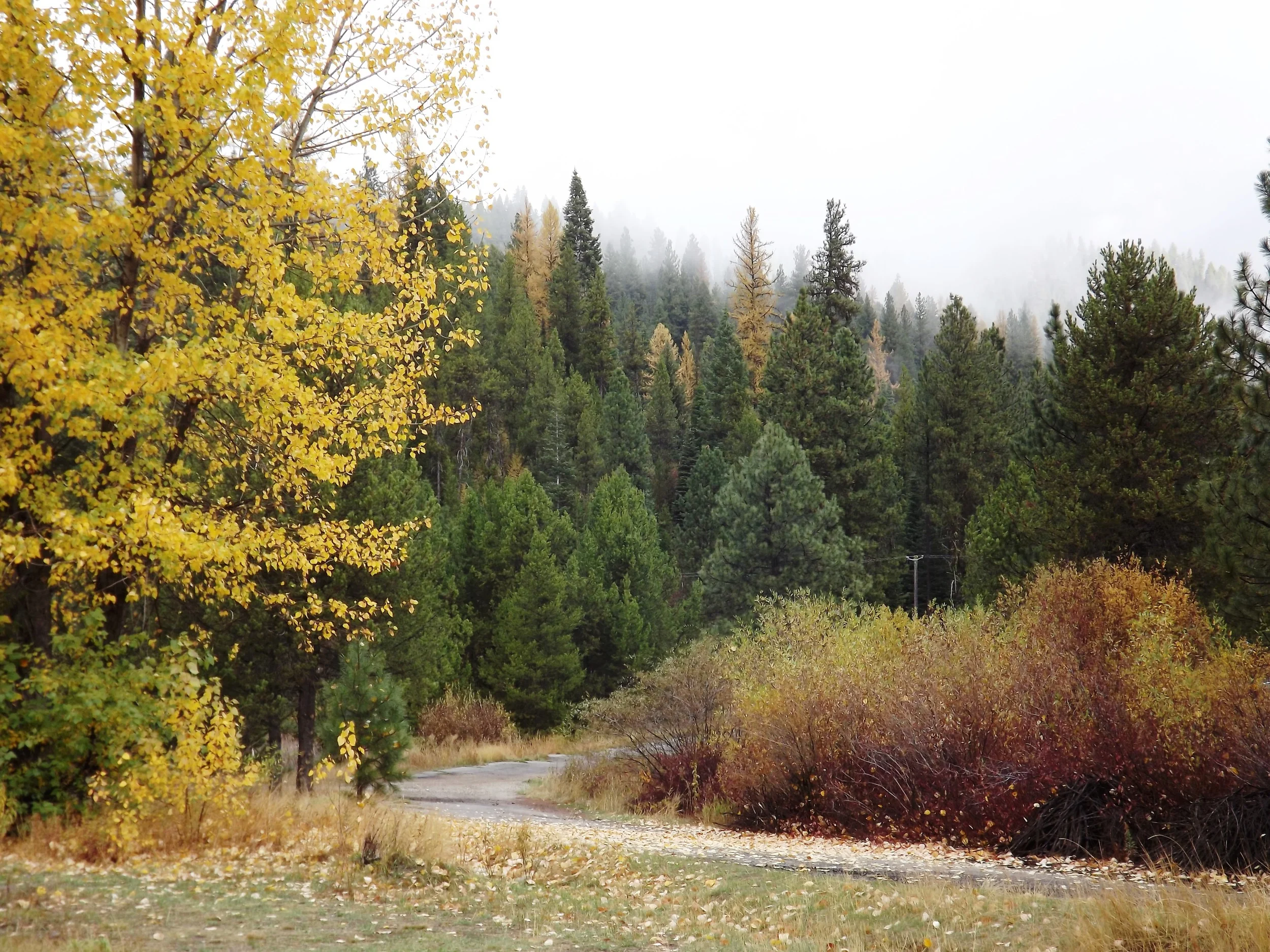 County roads. . .