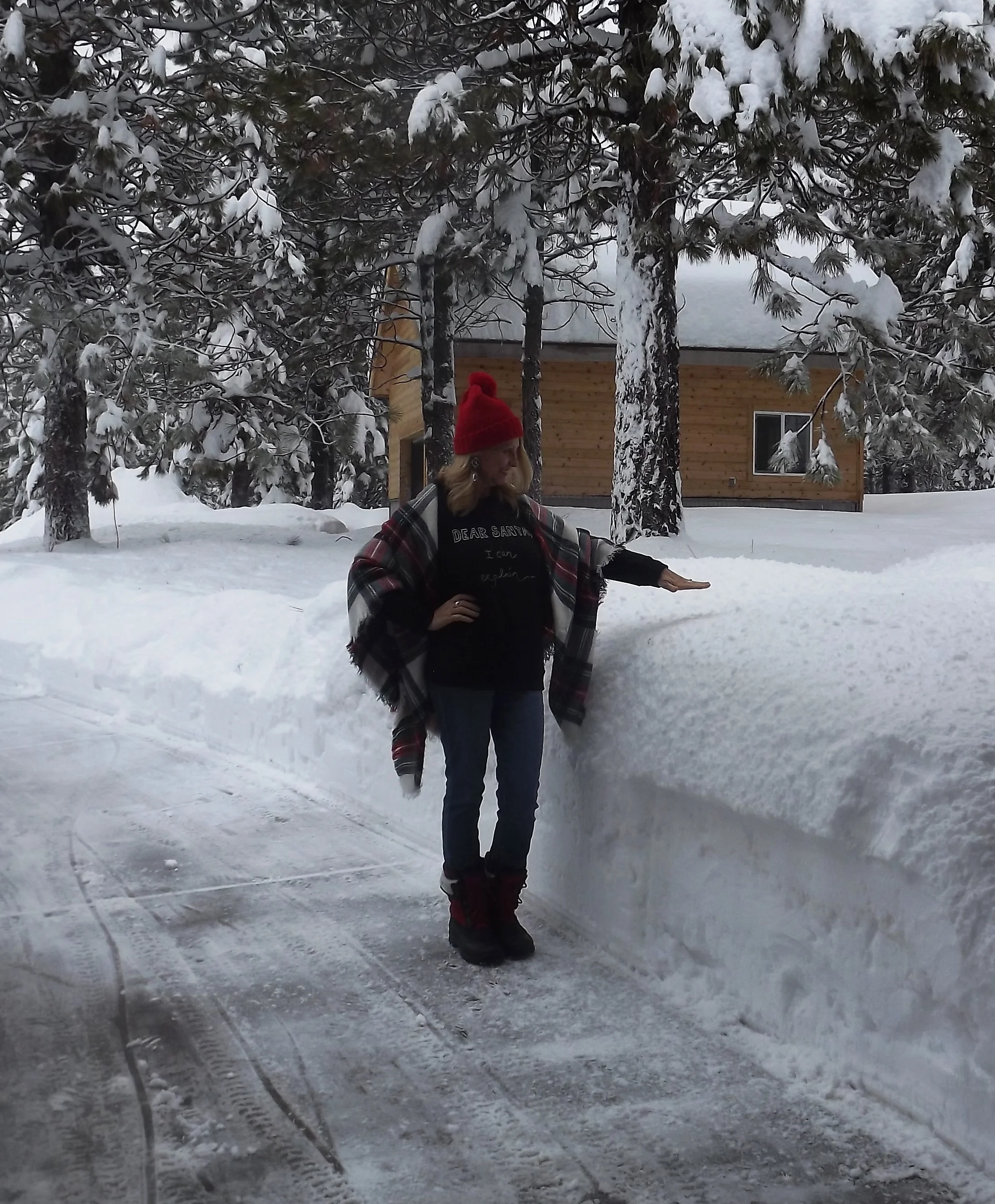 You must be this tall to walk in the snow!