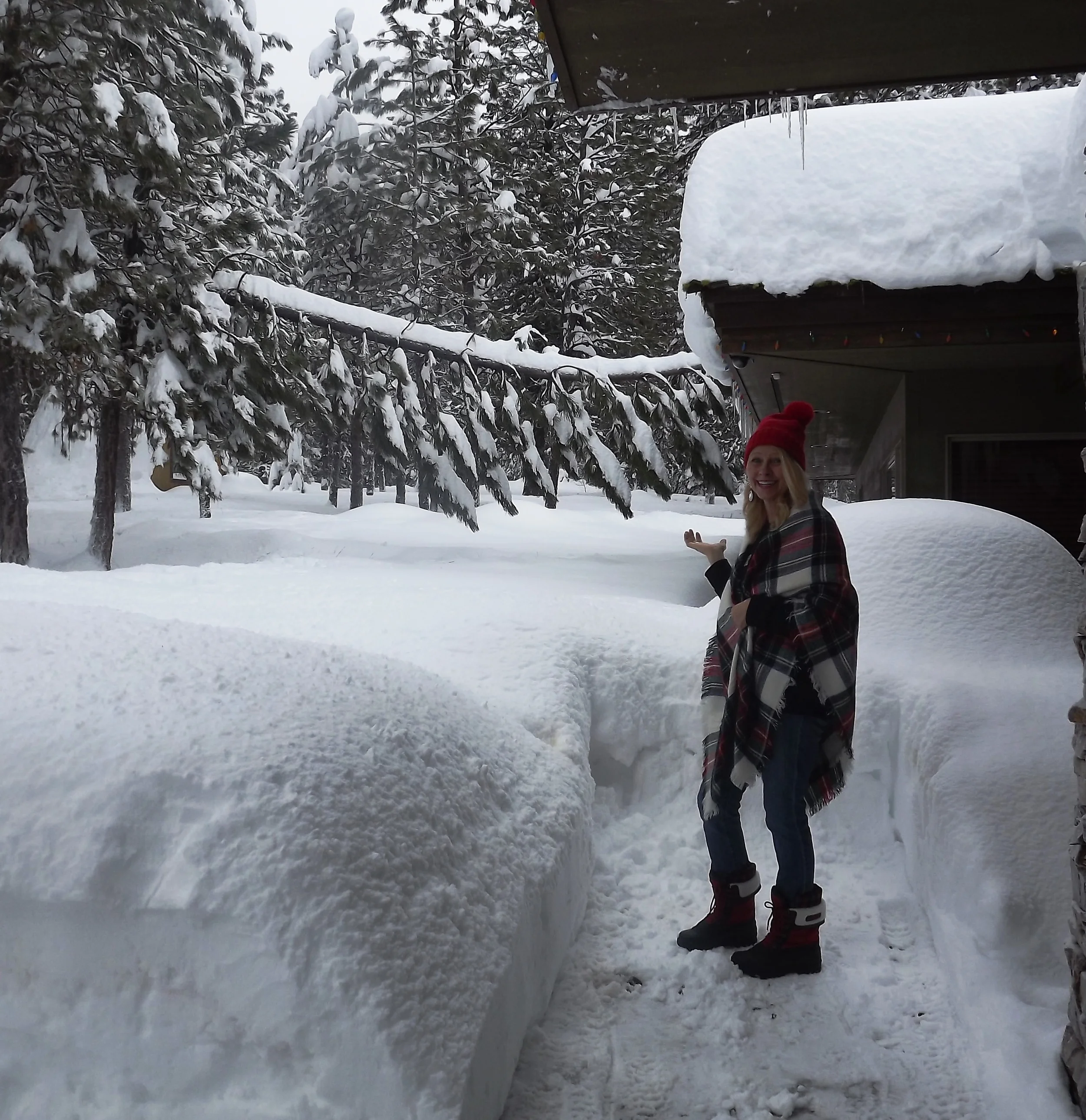 Oopsie! A tree weighted down with snow toppled onto our roof! My husband is on his way to get the chain saw. A very useful tool in these parts of the country.