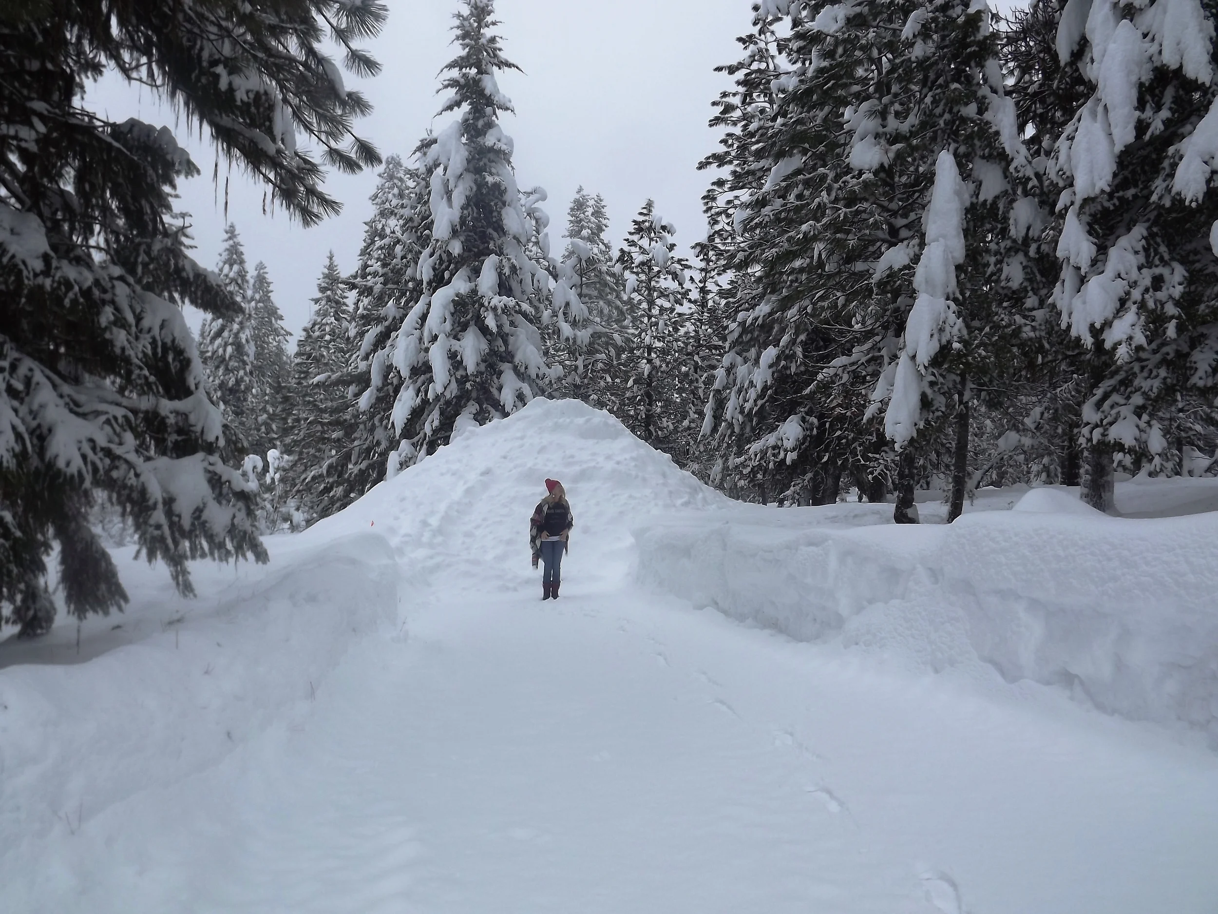 We have to have our lane and drive plowed to get out. Typically our plow man comes every week or two but this year he has had to come almost every other day. He is running out of places to put the snow and it is only December! 