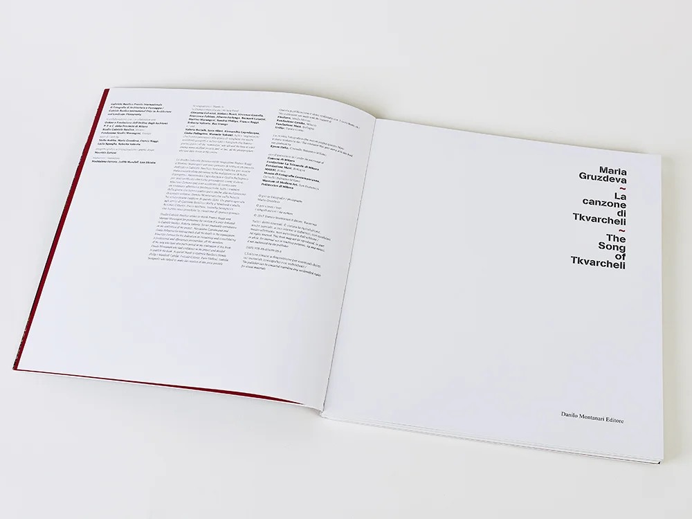The_Song_of_Tkvarcheli_book02.jpg