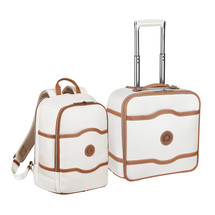 Delsey Luggage and Backpack