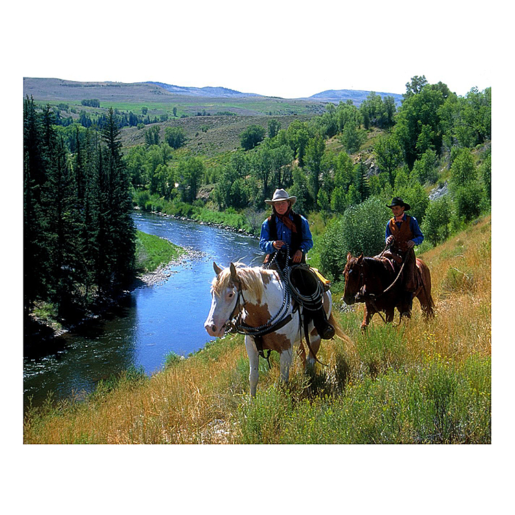 Horseback Trail Ride for Two