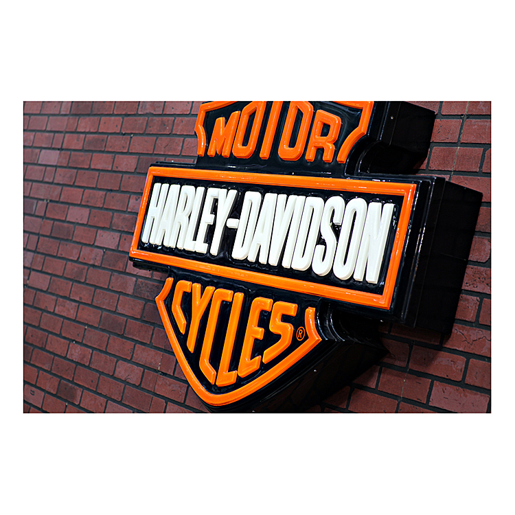 Harley Davidson 5 Day Rental
