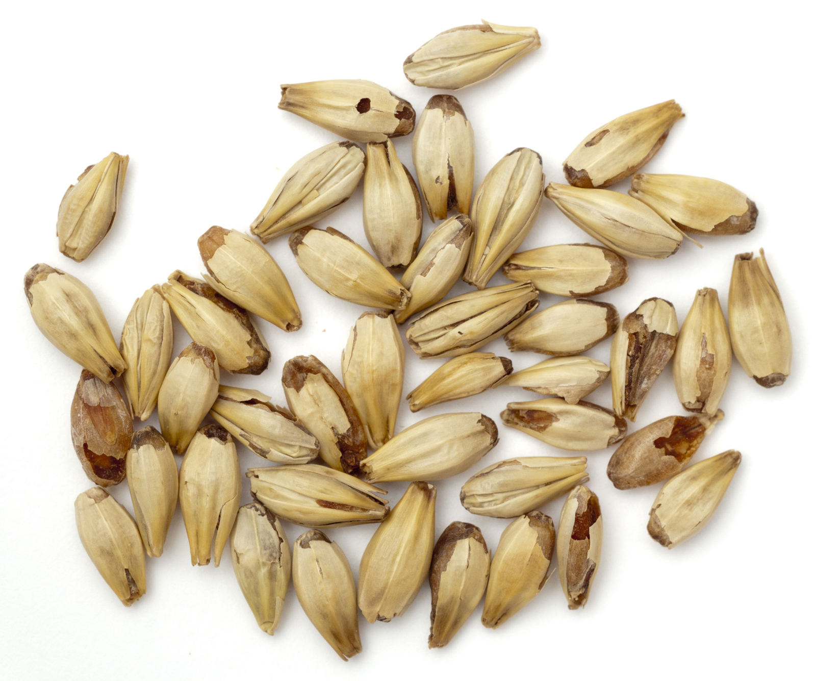 A "crystal" malt.