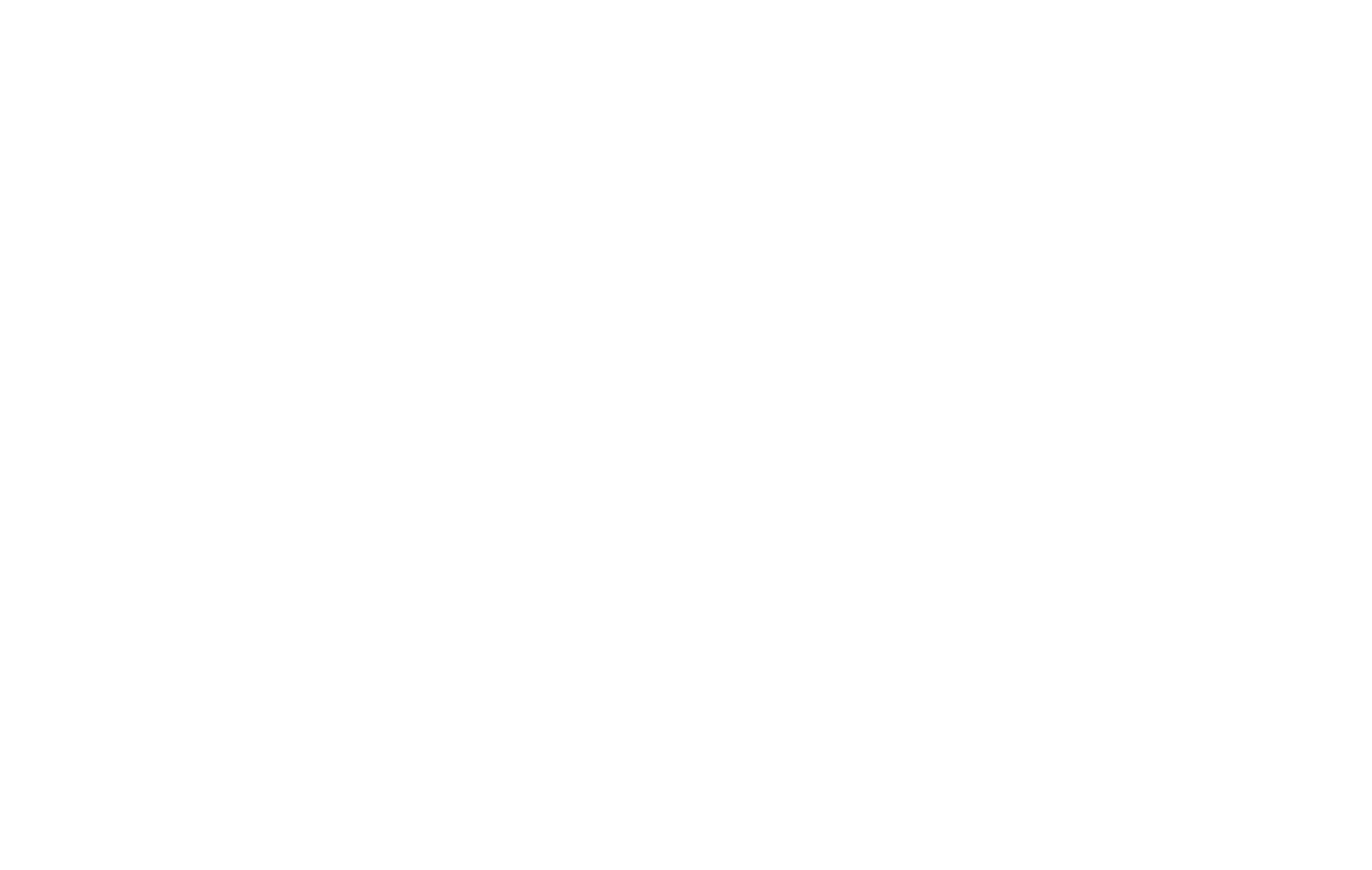 logo-white (8).png