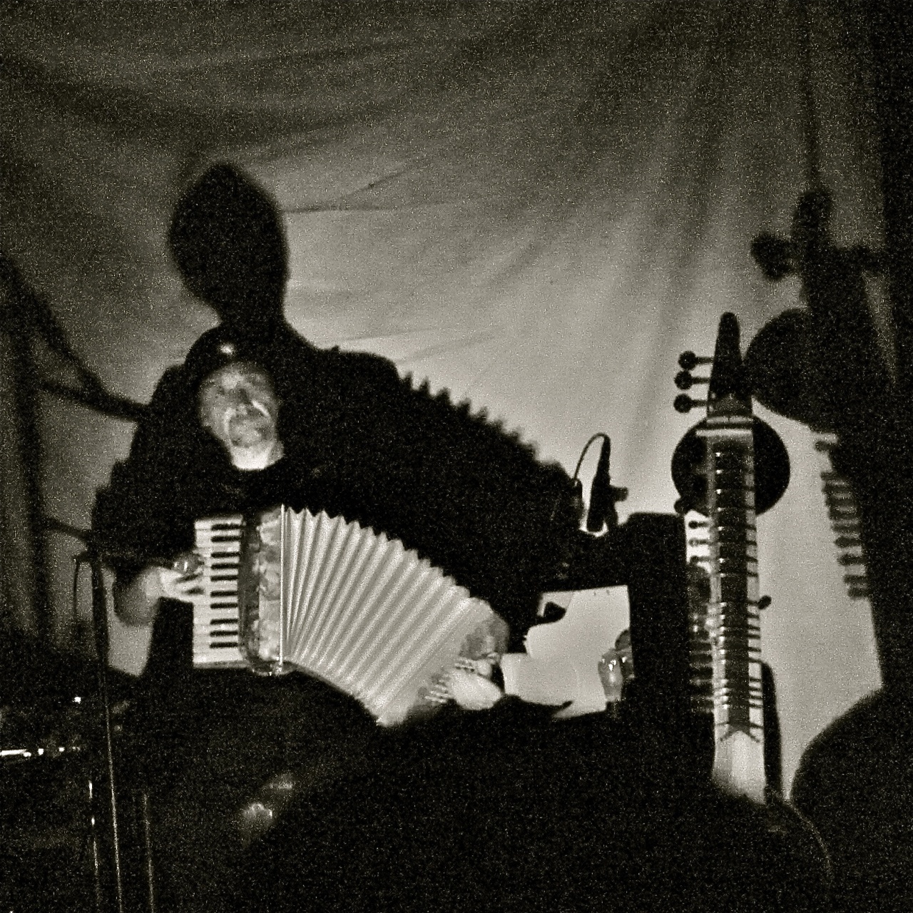 El músico.jpg