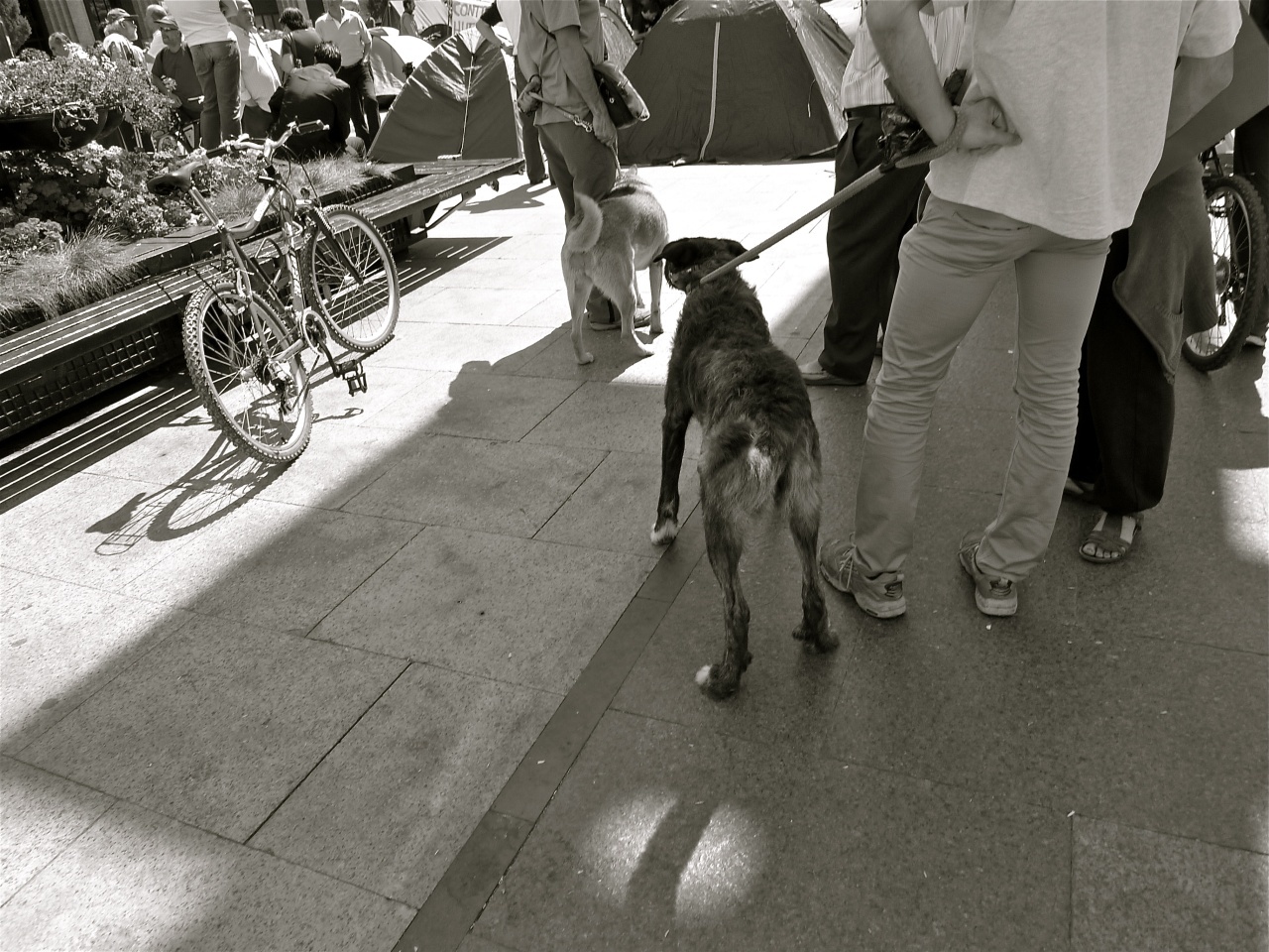 Descontentos - 4.jpg