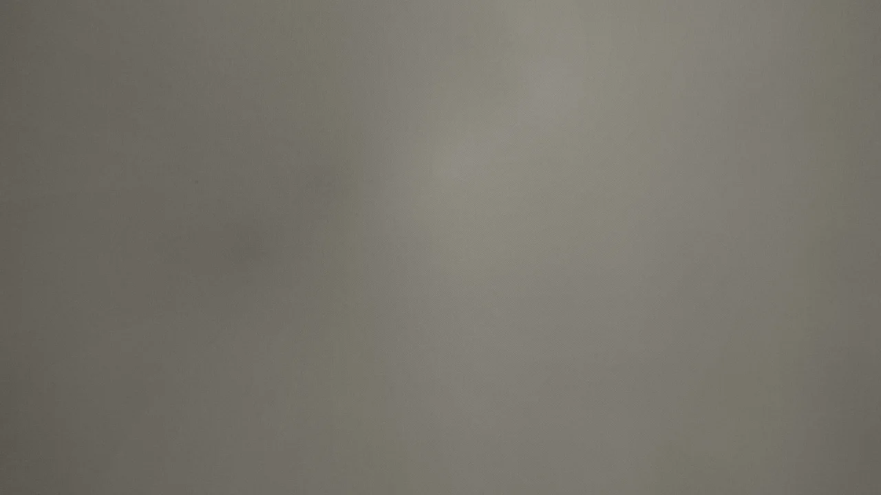 Pez soluble - 7.jpg