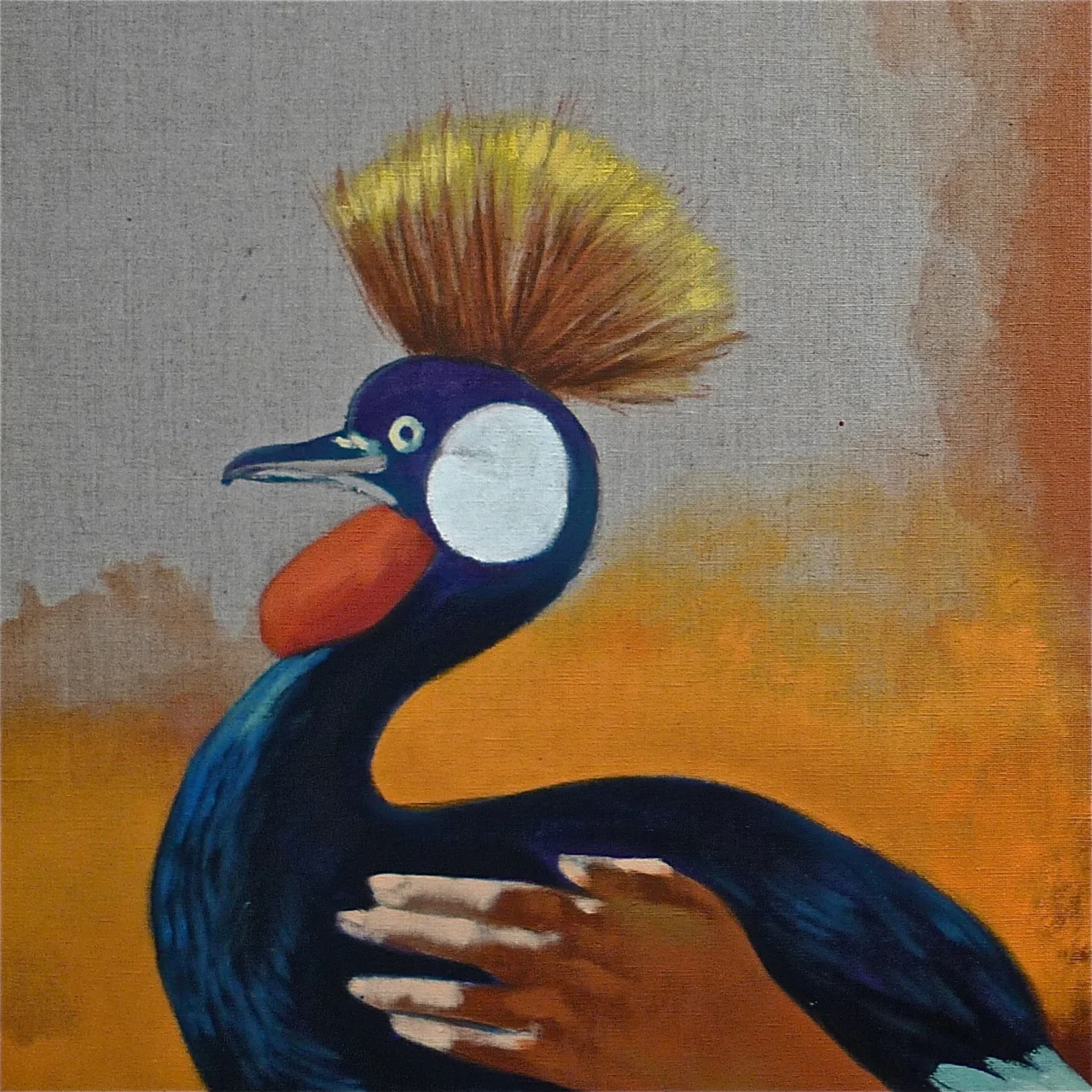 Aves de Bayo - 2.jpg