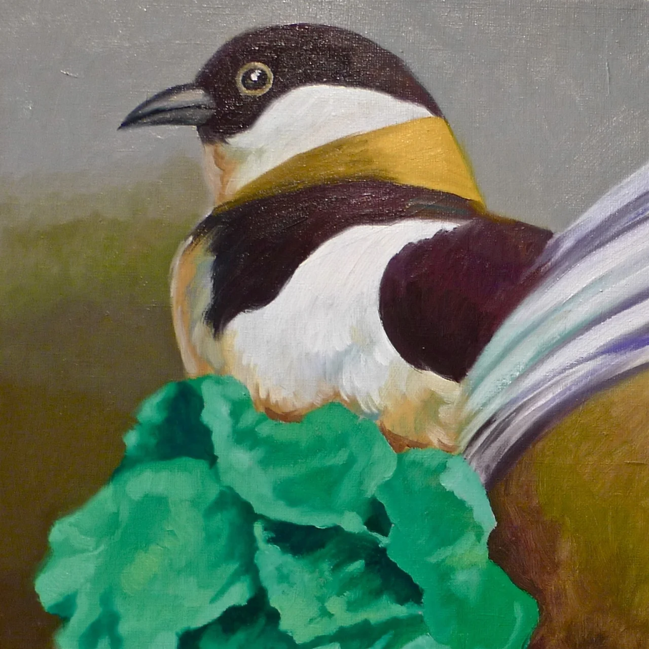 Aves de Bayo - 3.jpg
