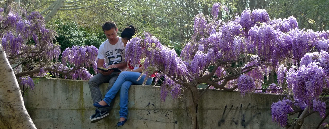 Abril es asi - 4.jpg