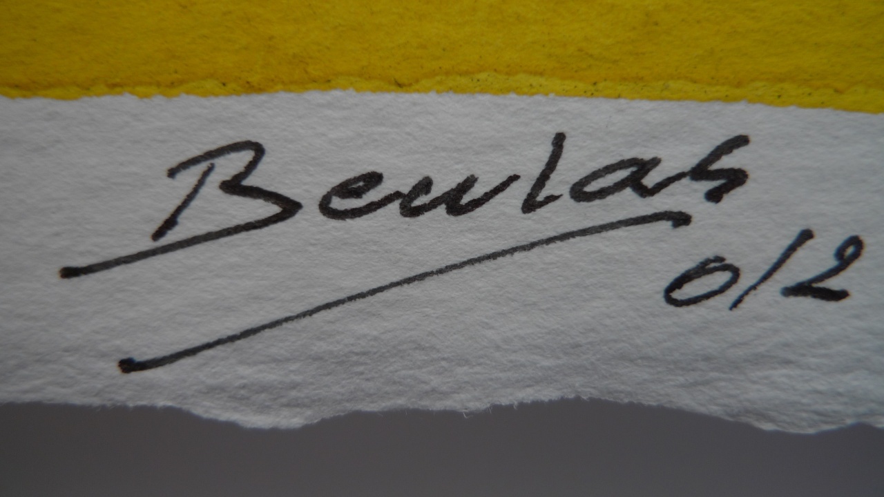 Firma Beulas - 5.jpg