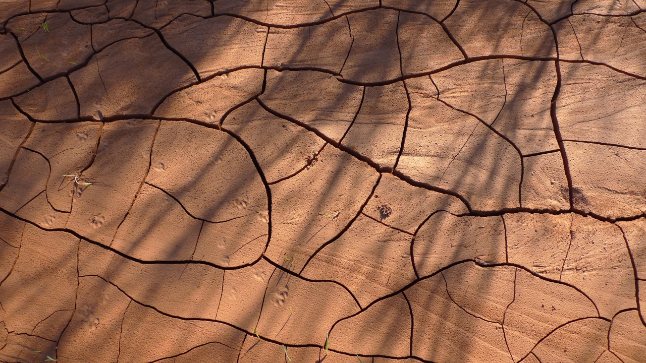 Tierra Planeron - 2.jpg