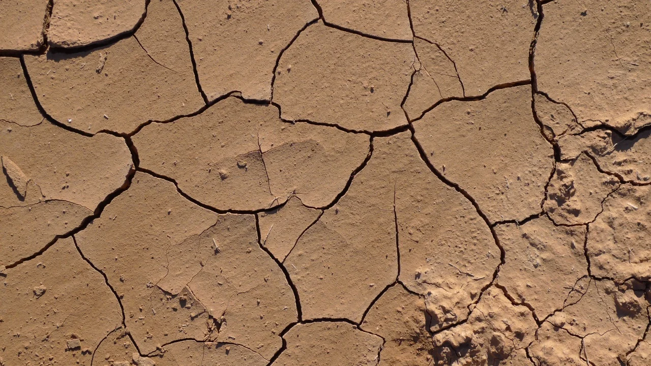 Tierra Planeron - 1.jpg