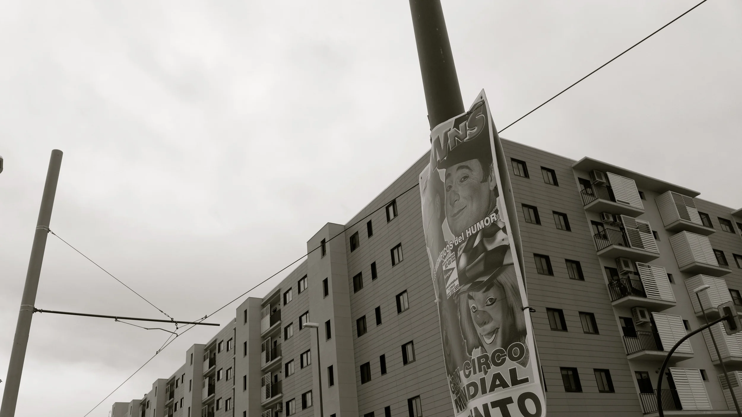 Ailanthus Circus Tranvia bn - 01.jpg
