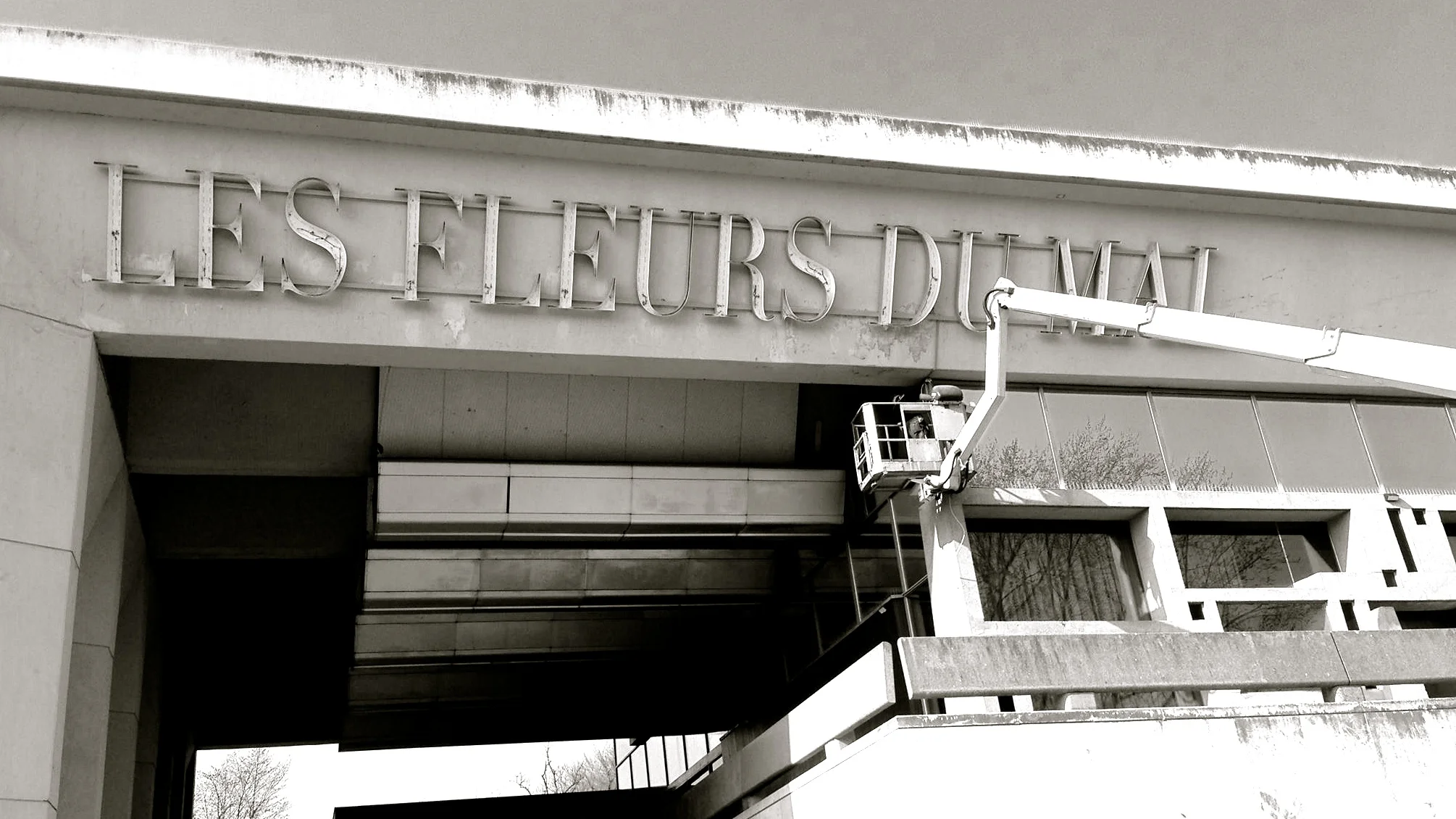 Les fleurs