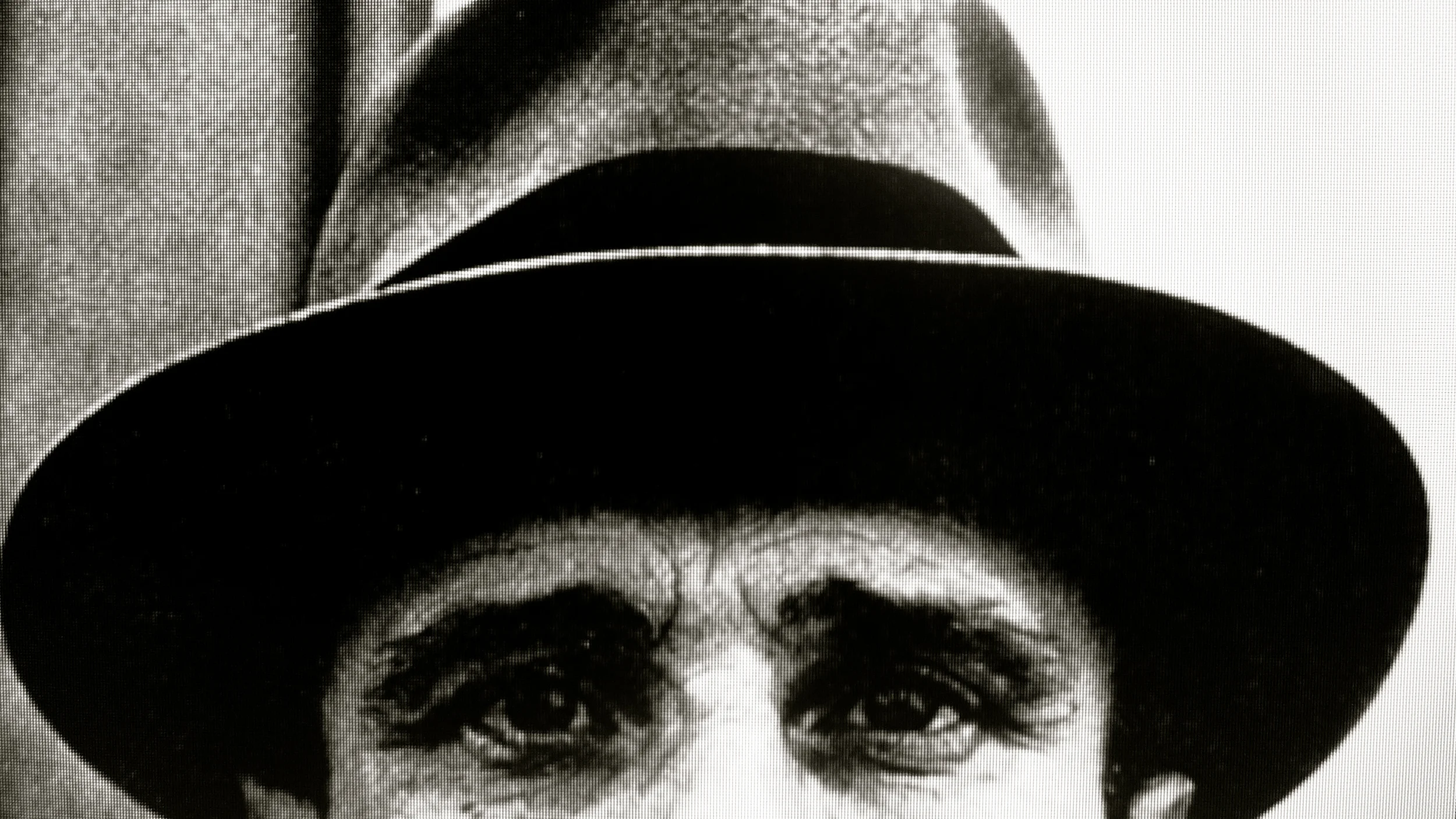 Beuys y la liebre - 2