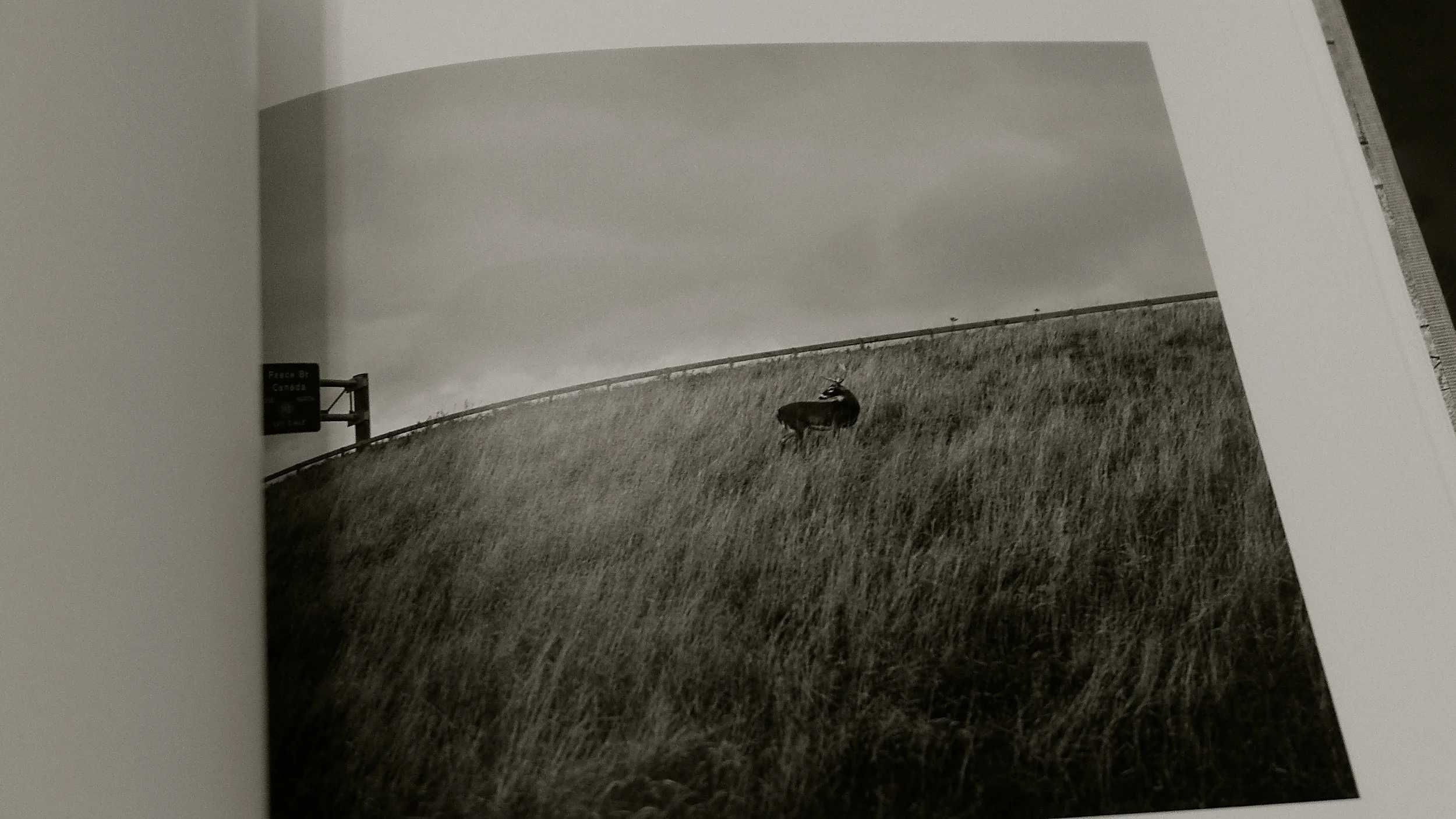 Vanessa Winship - 1