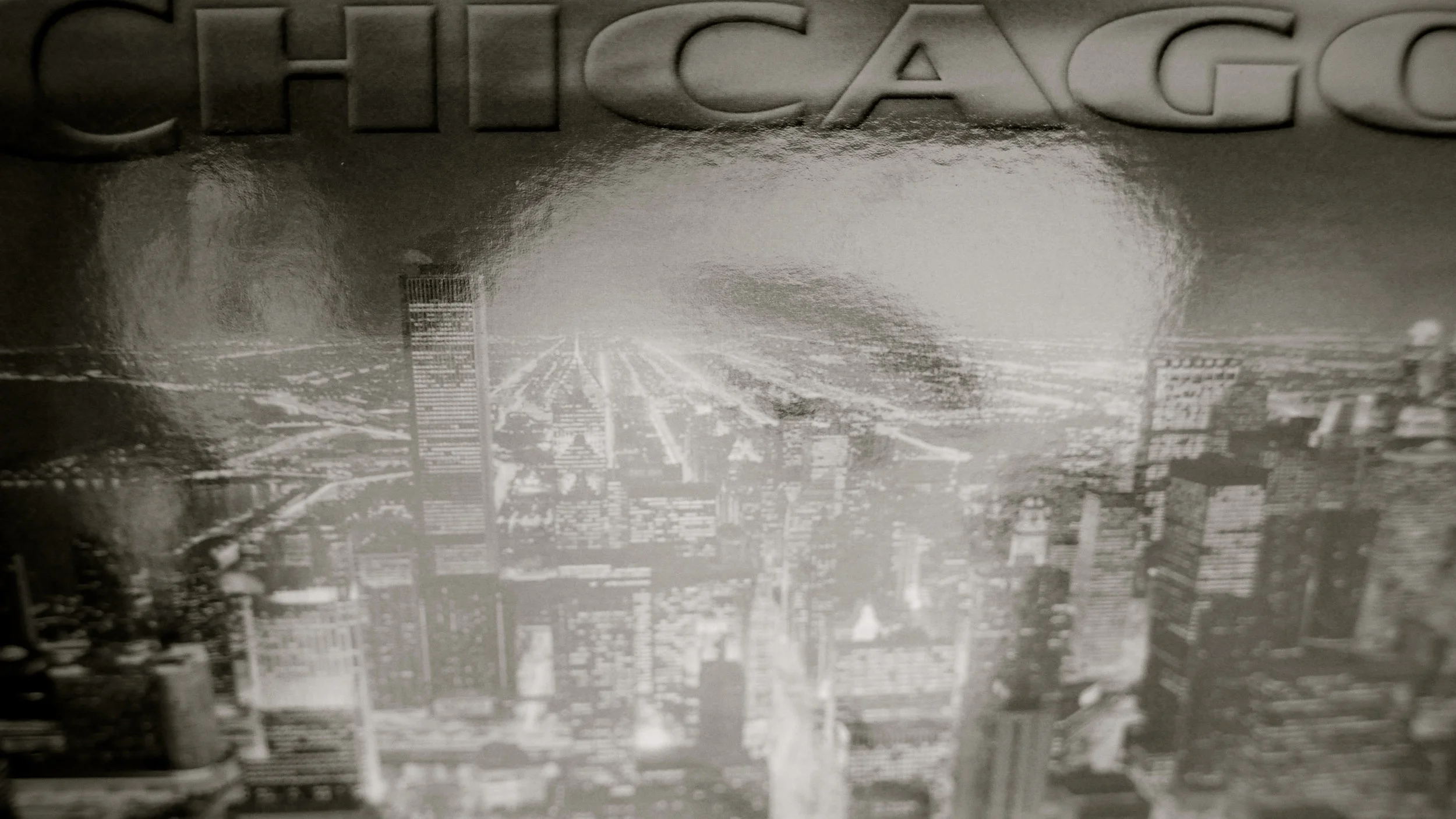 K D Lang Chicago - 13