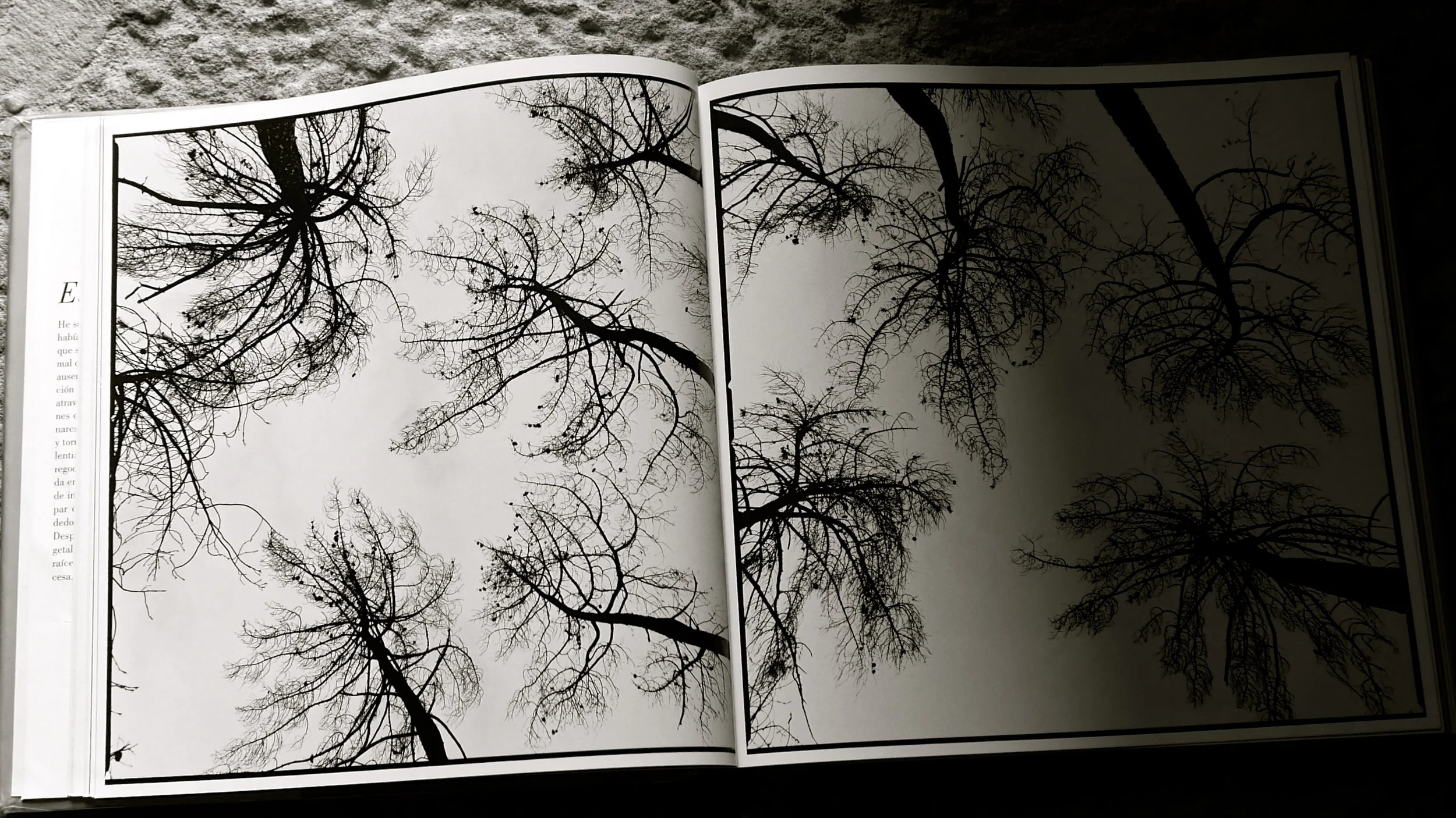 El Bosque Quemado - 2