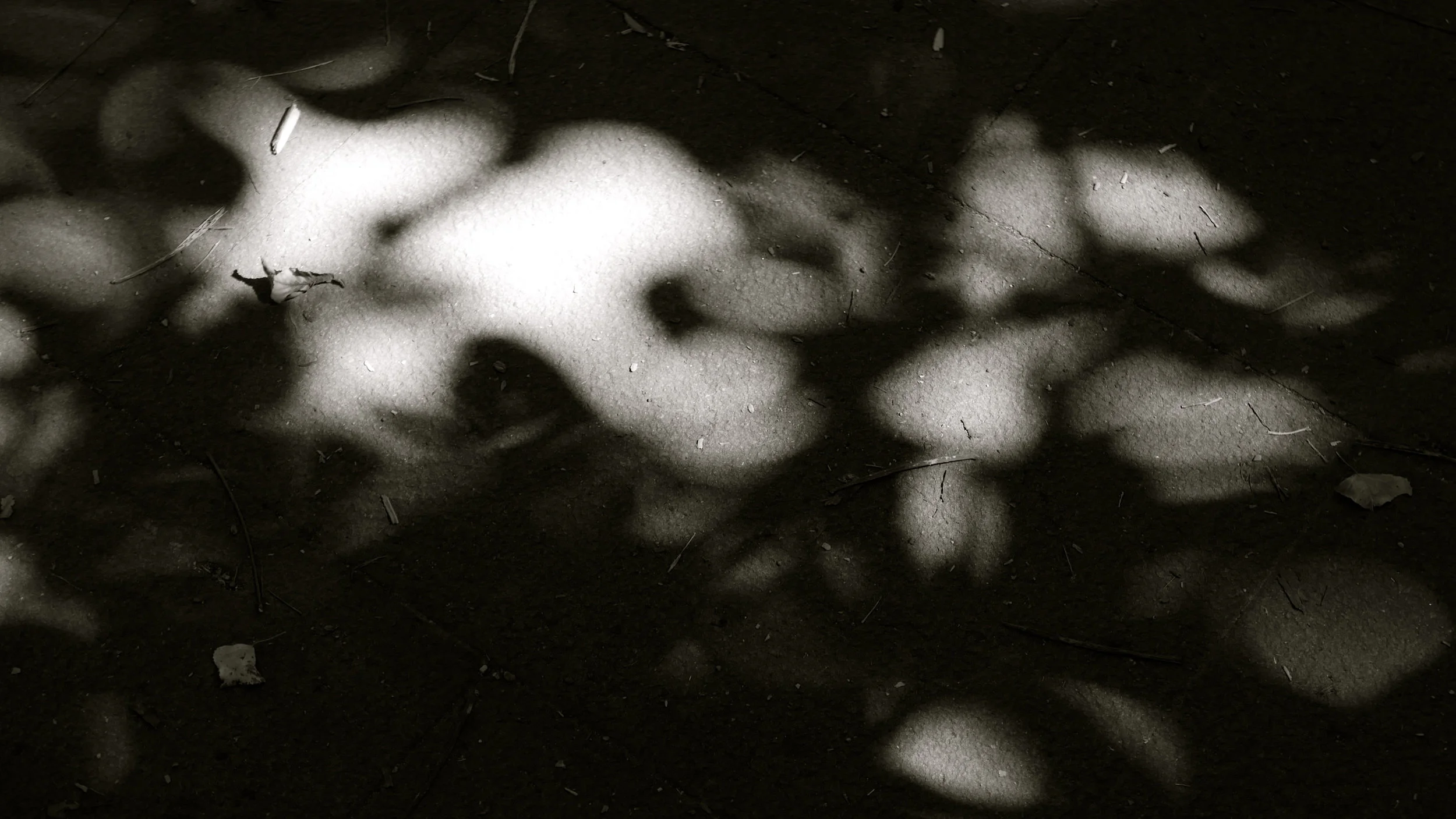 La Dehesa - 4