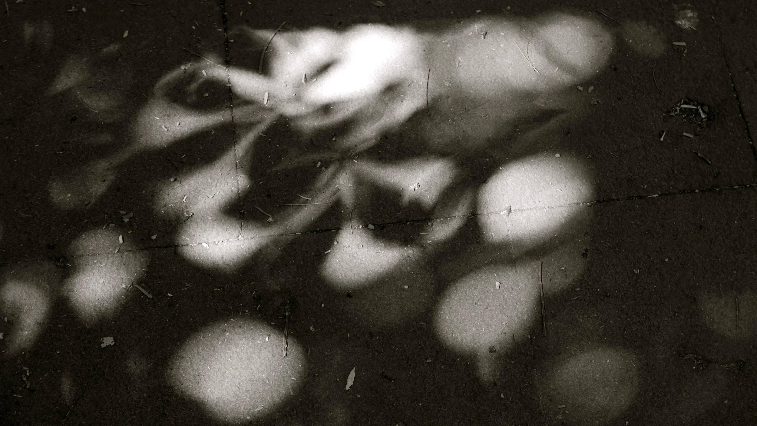 La Dehesa - 5
