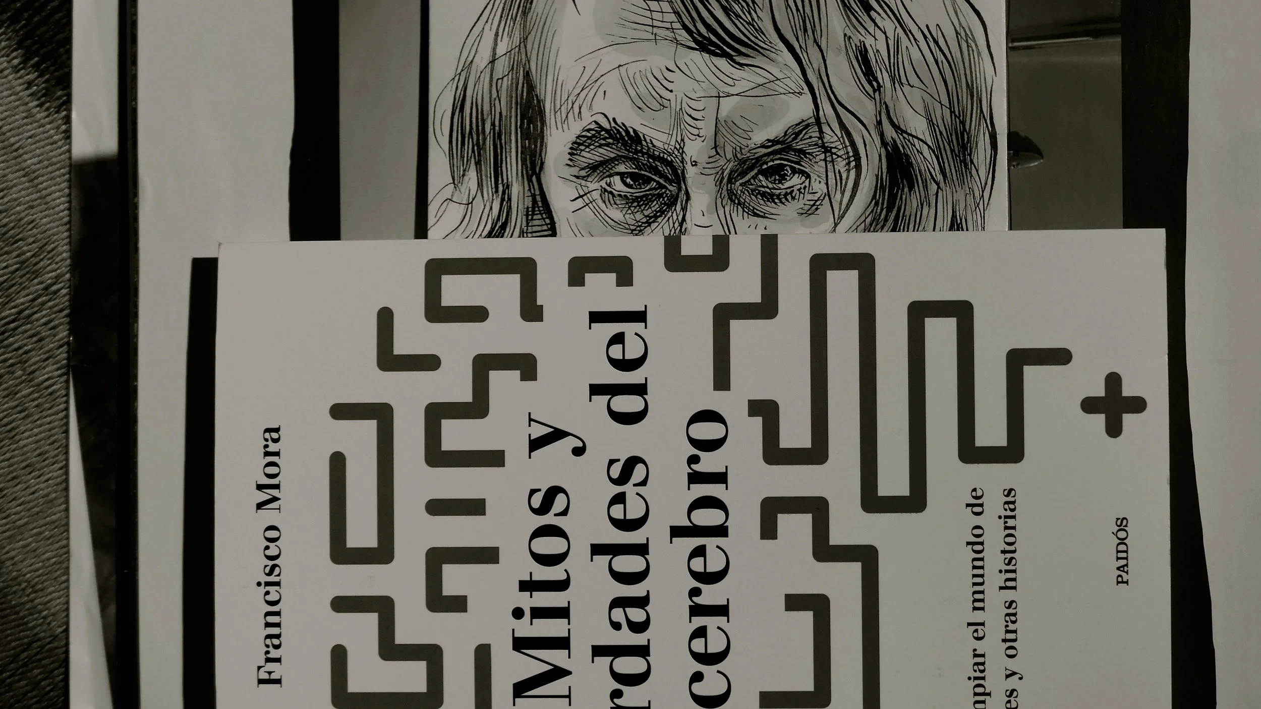 Caricatura Houellebecq / Mitos de Mora