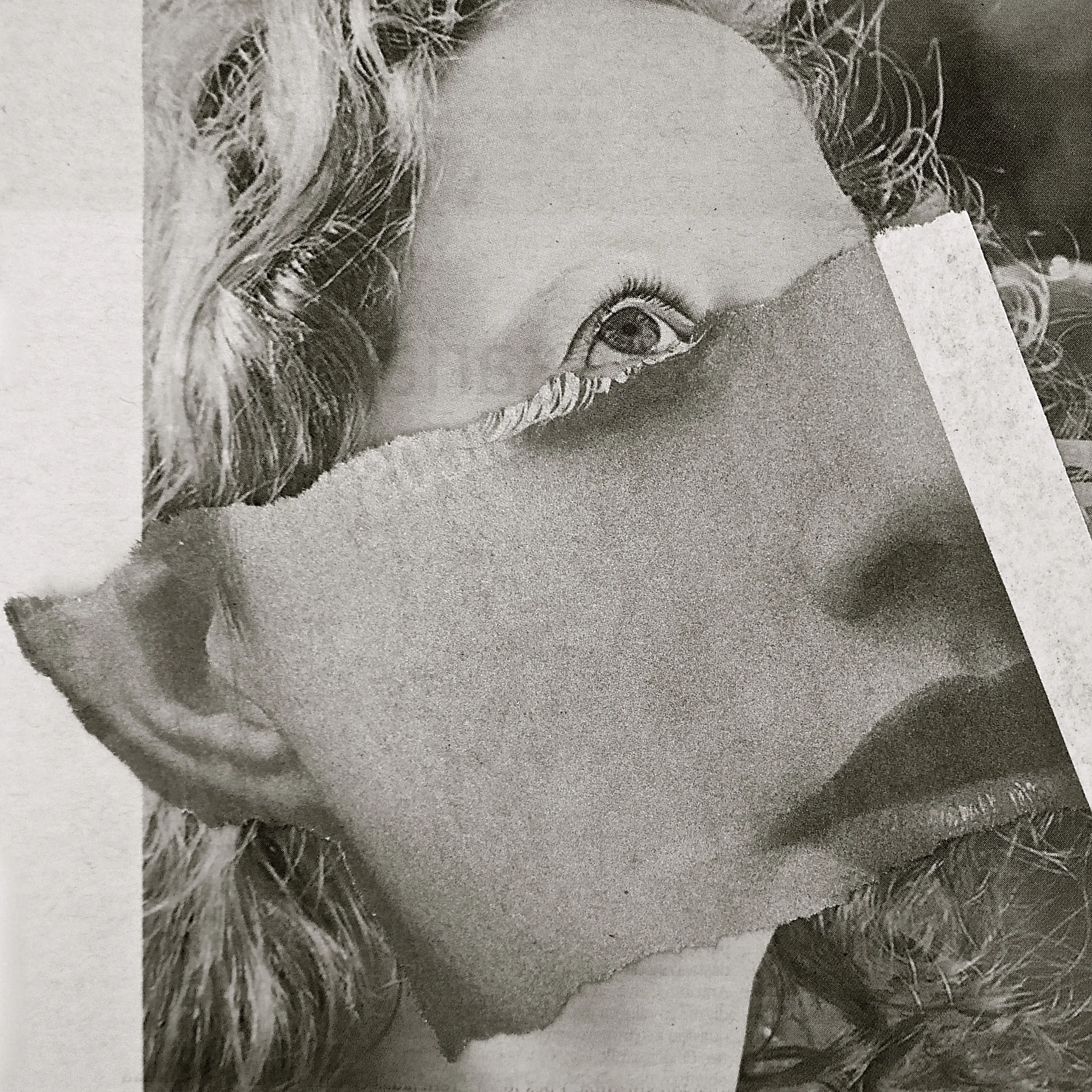 Compórtate. Collage sobre la obra de Robert Sapolsky. Cryp. - 1