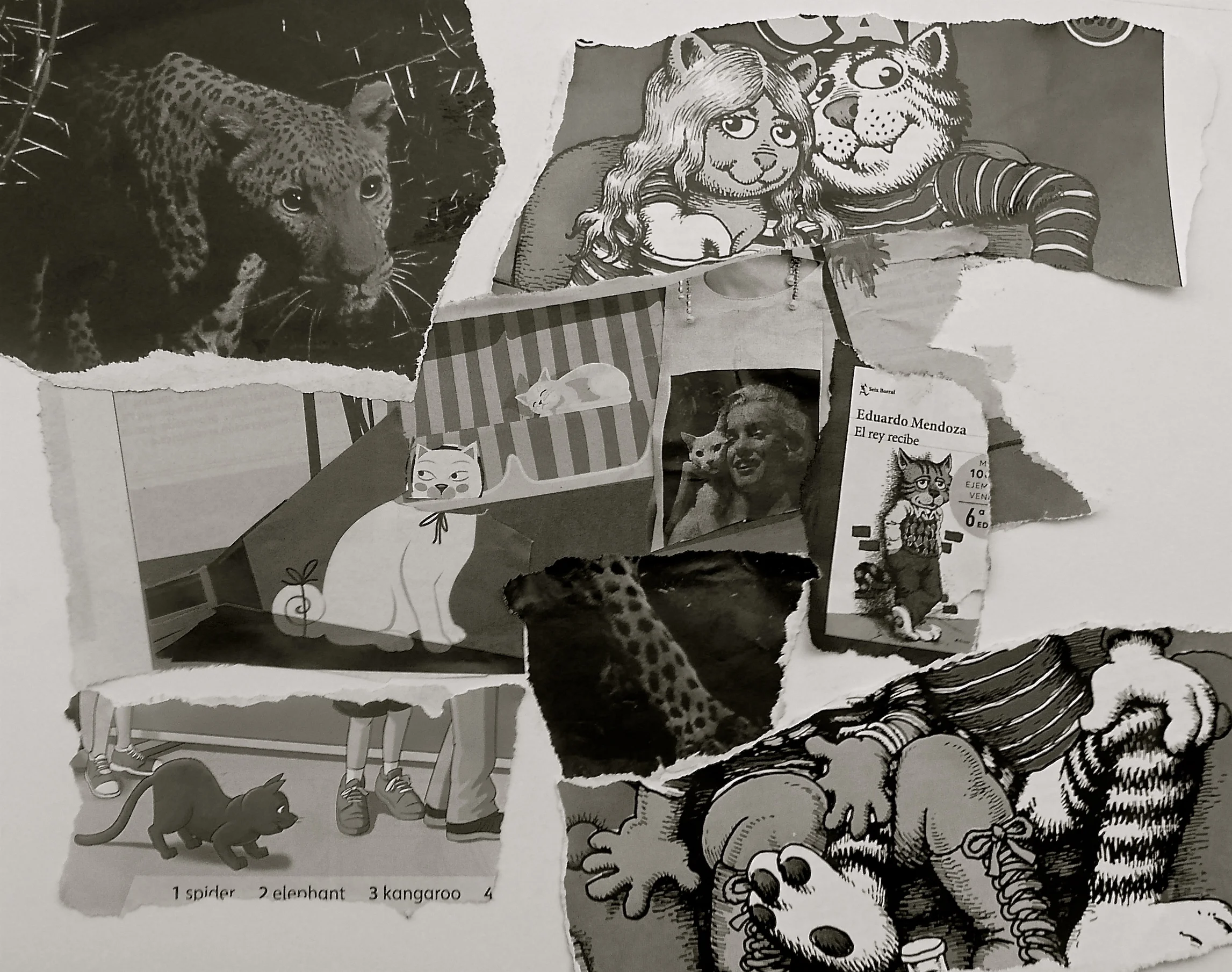 Rebaño de gatos Collage. Cryp.