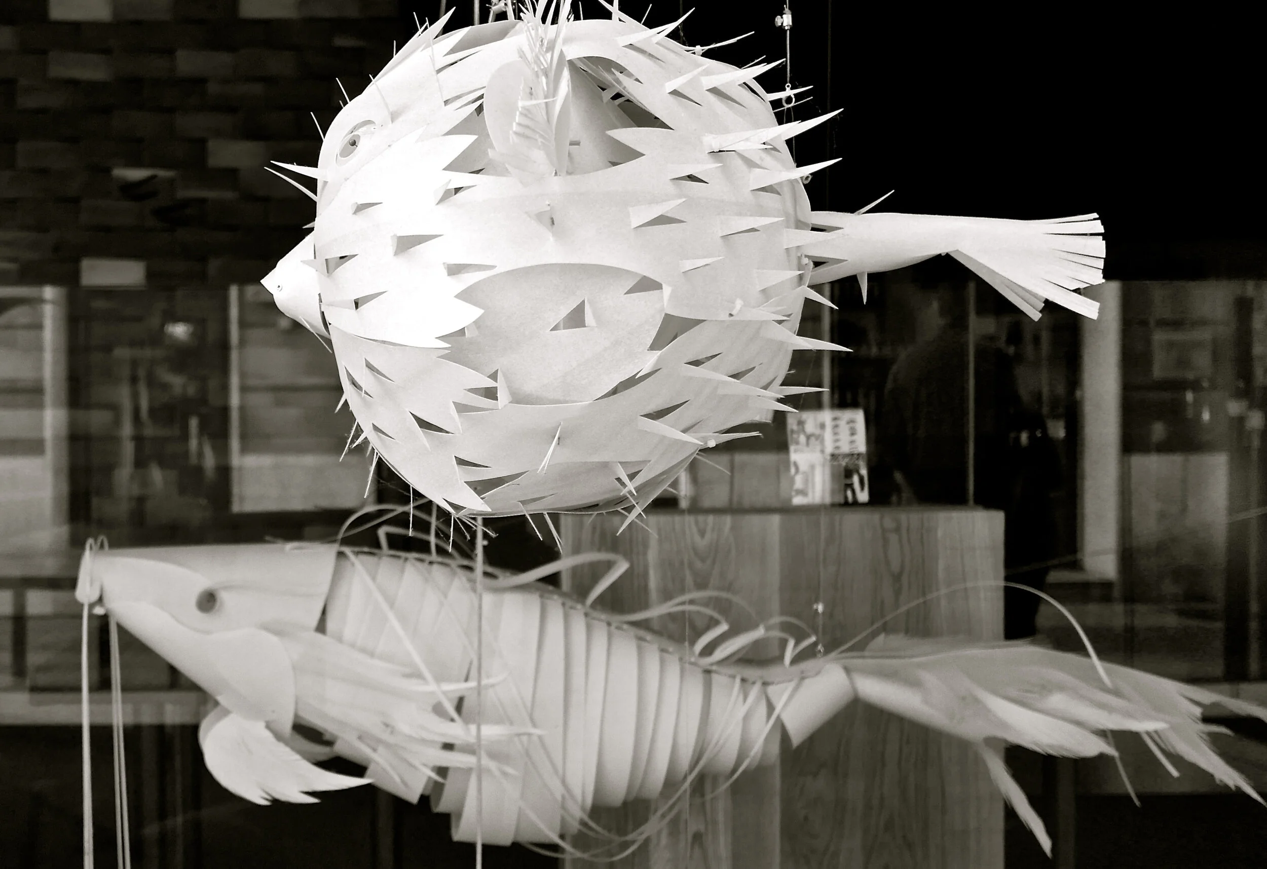 Pecez de papel. Valladolid