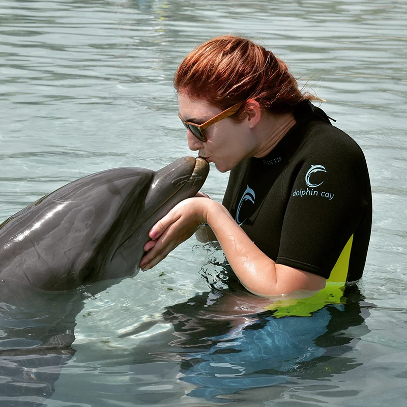 Getting Fresh with Apollo