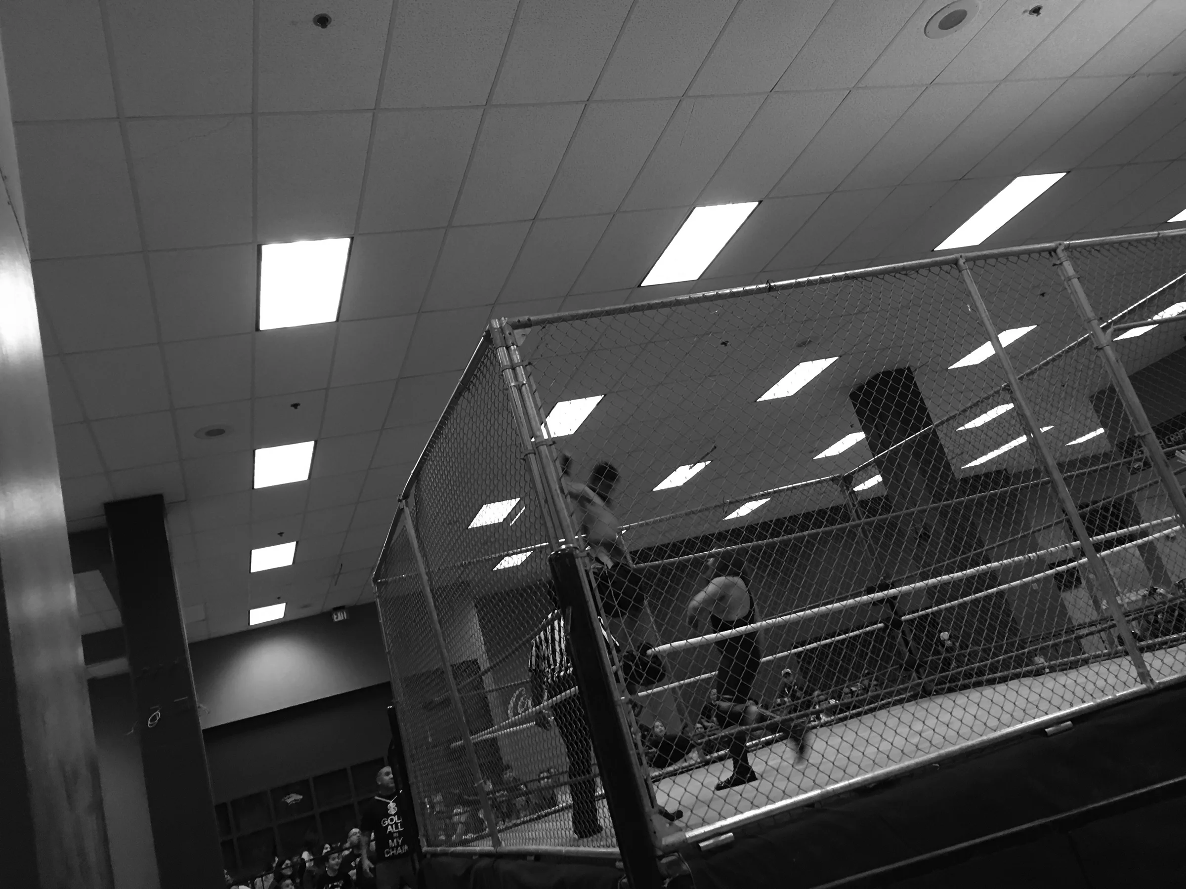 Cage Match