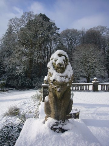 Image 29.jpg