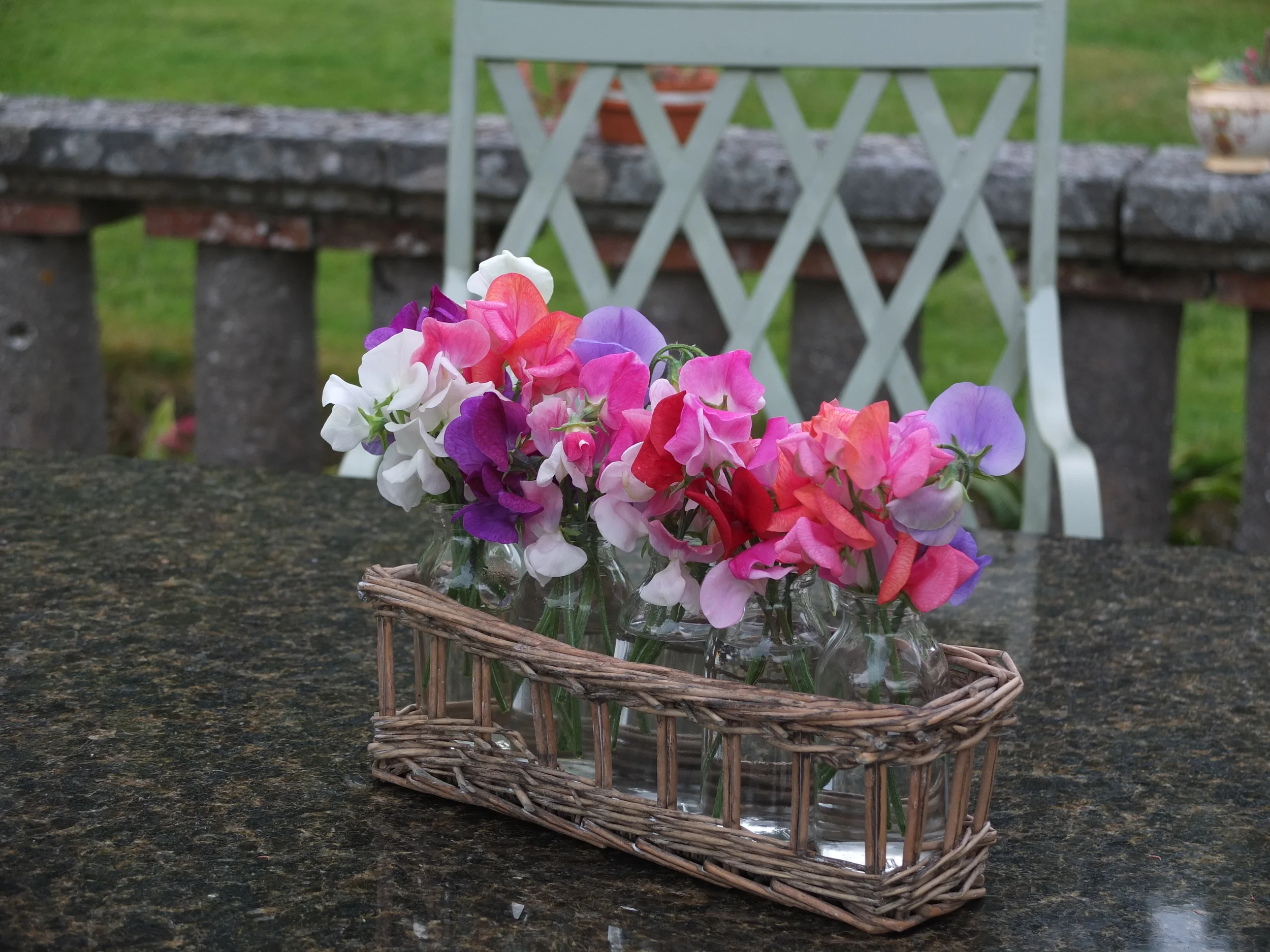 DSCF2239.JPG