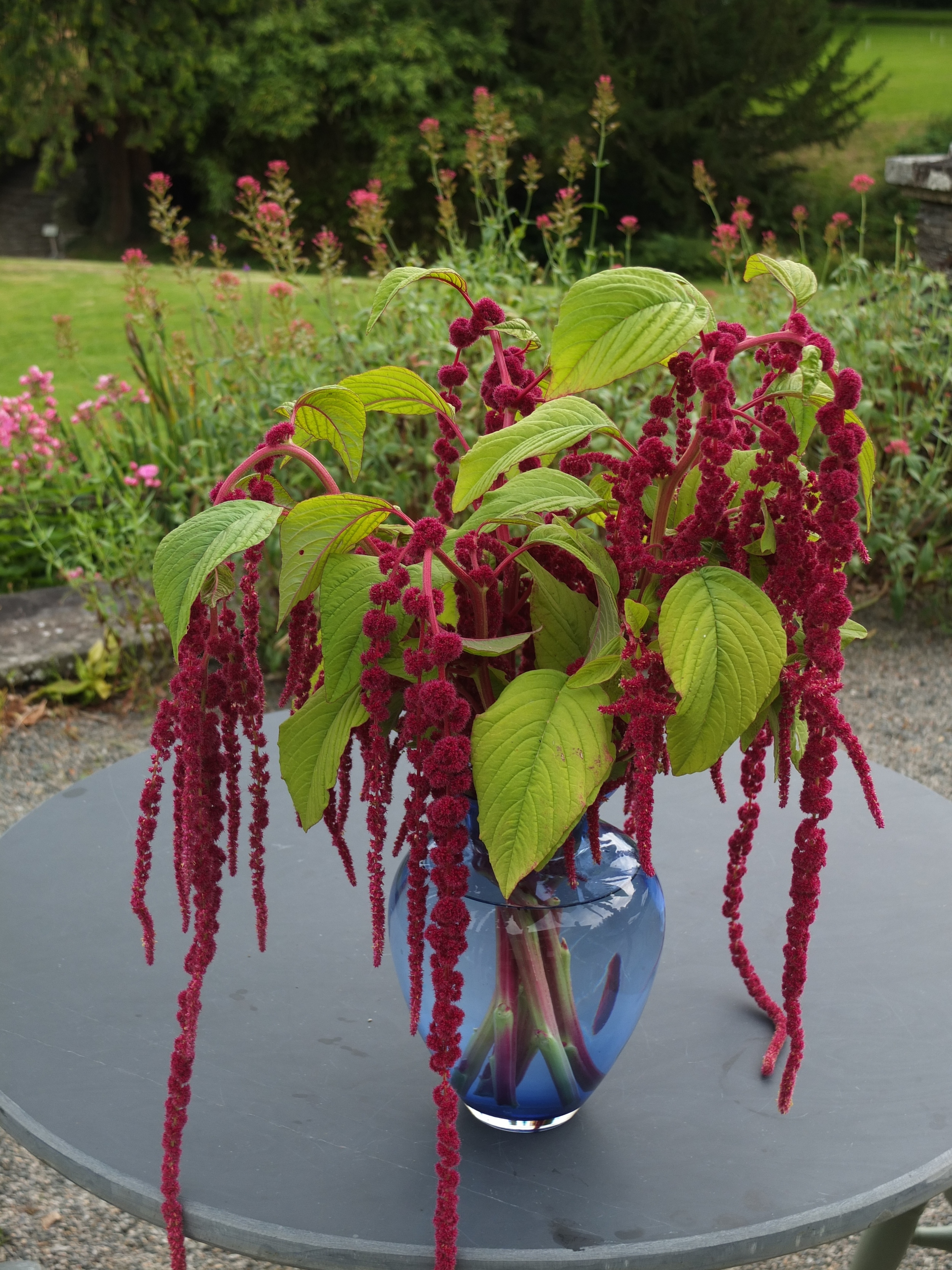 DSCF2223.jpg