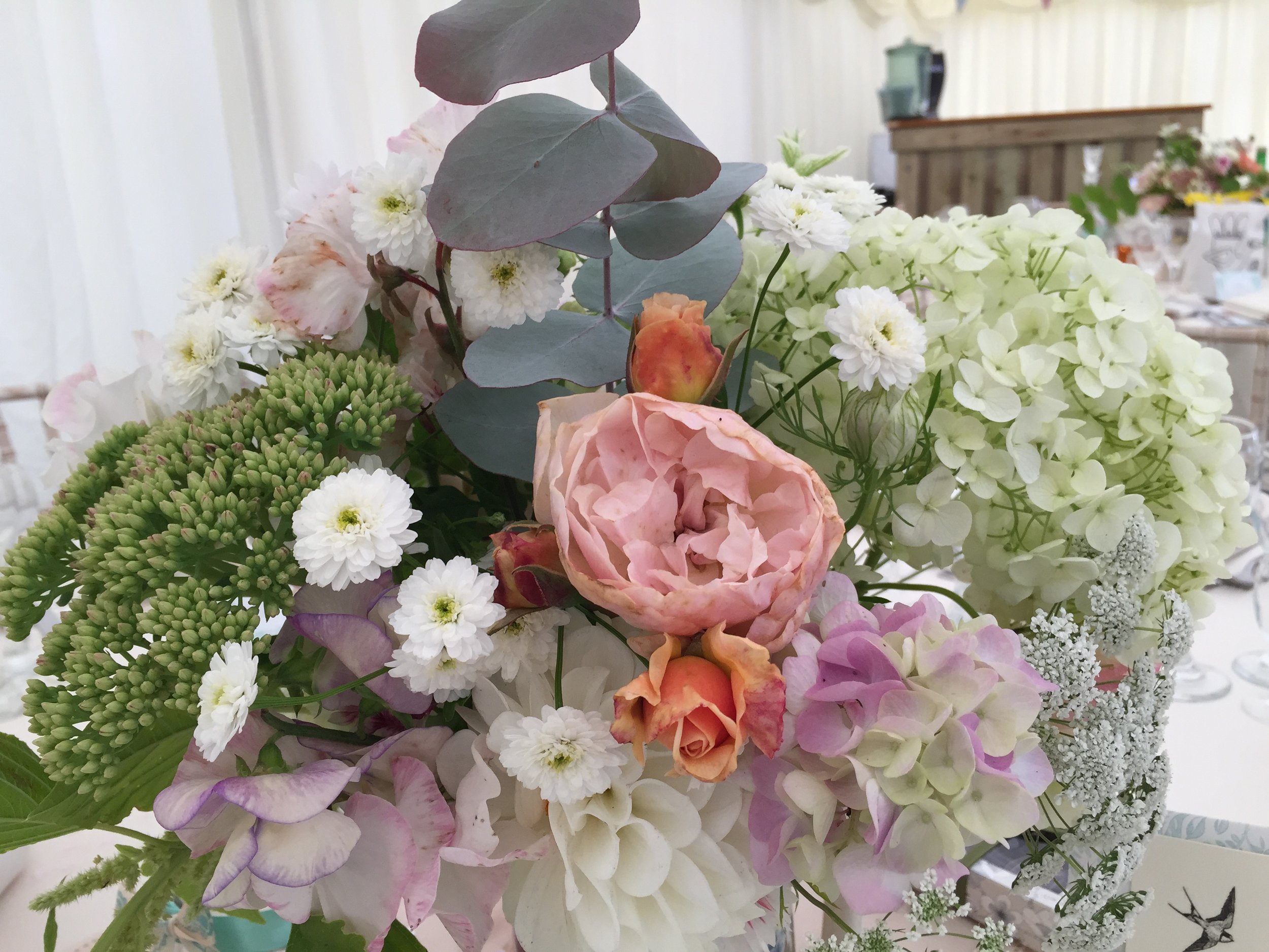 2015-08-15 12.29.40.jpg