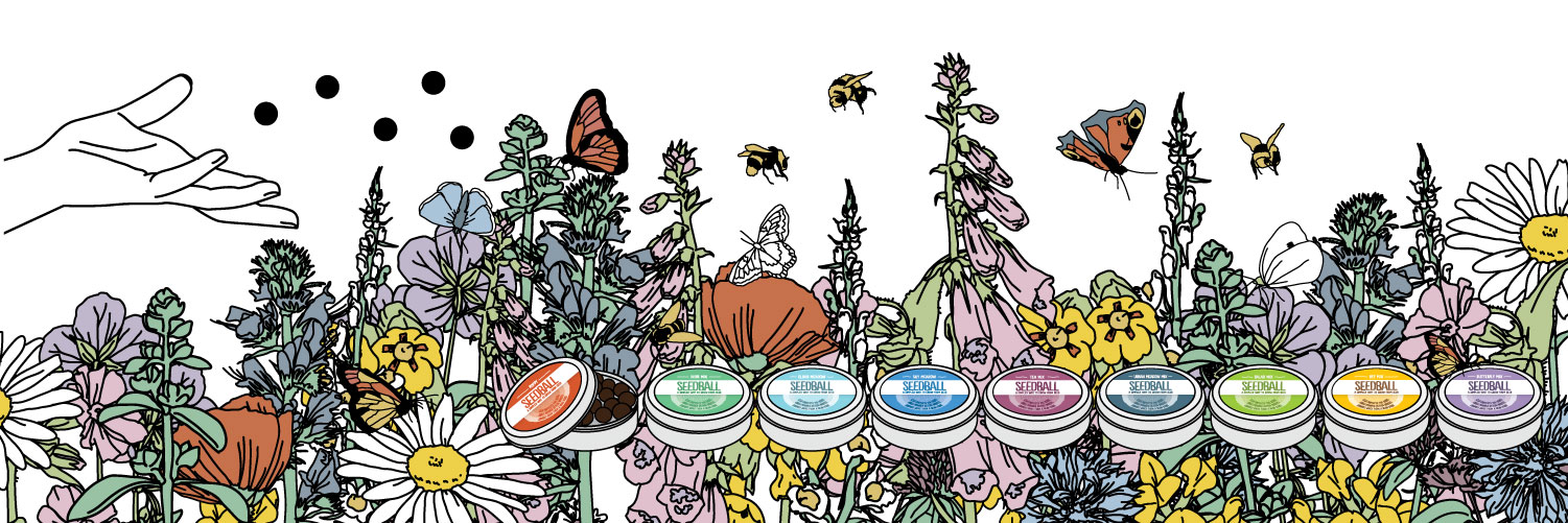 SEEDBALL-TWITTER-HEADER.jpg